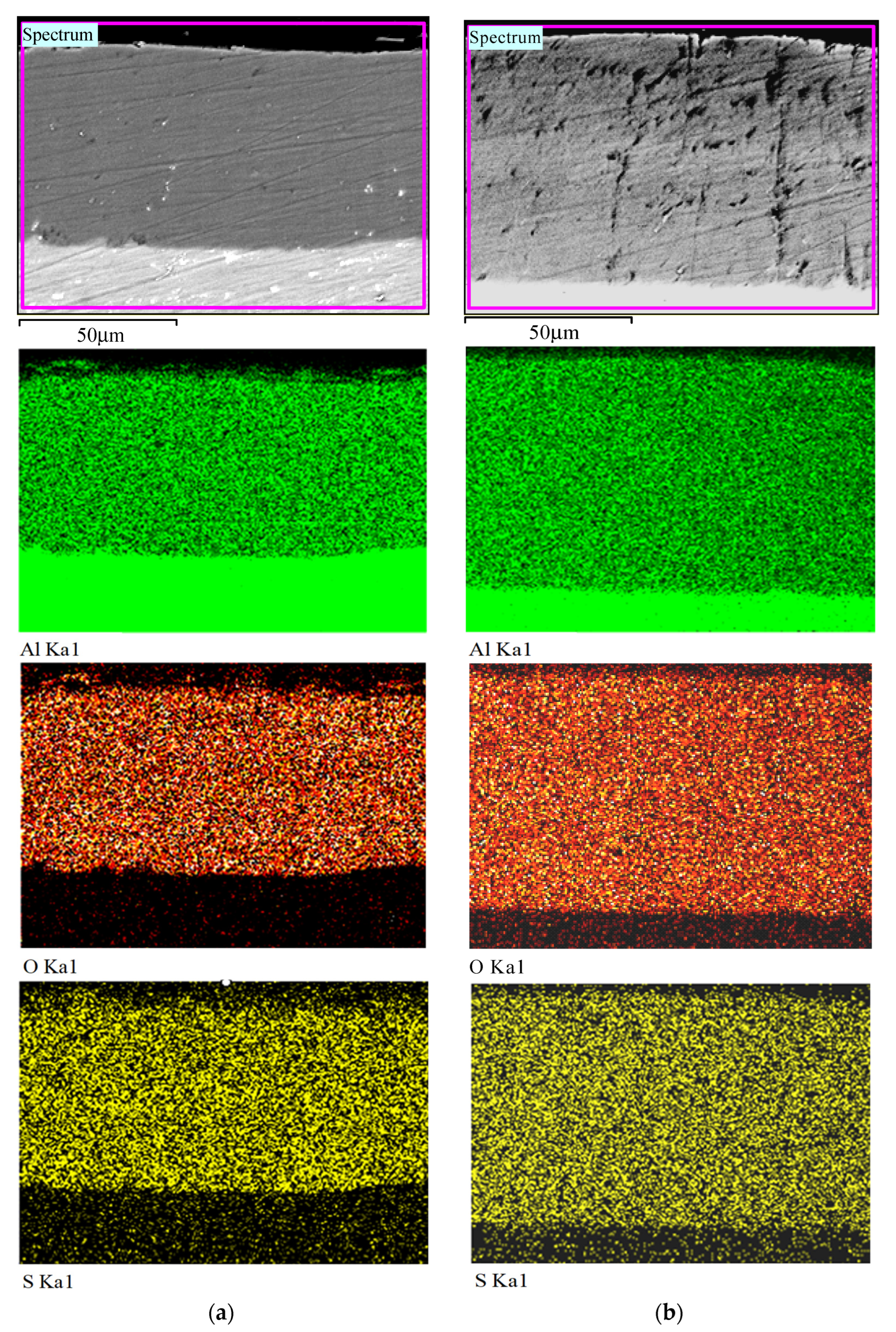 Coatings 13 01883 g007