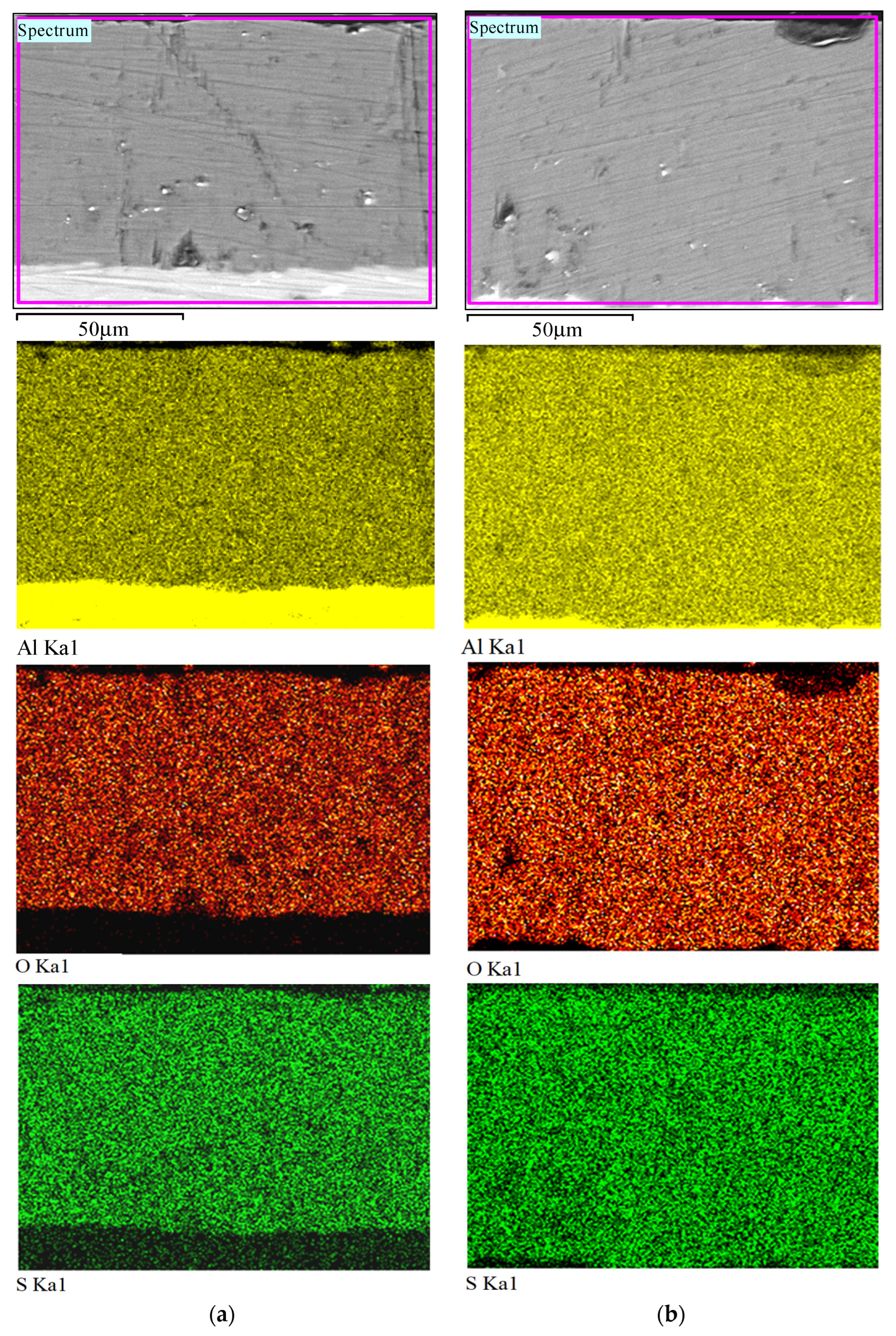 Coatings 13 01883 g009