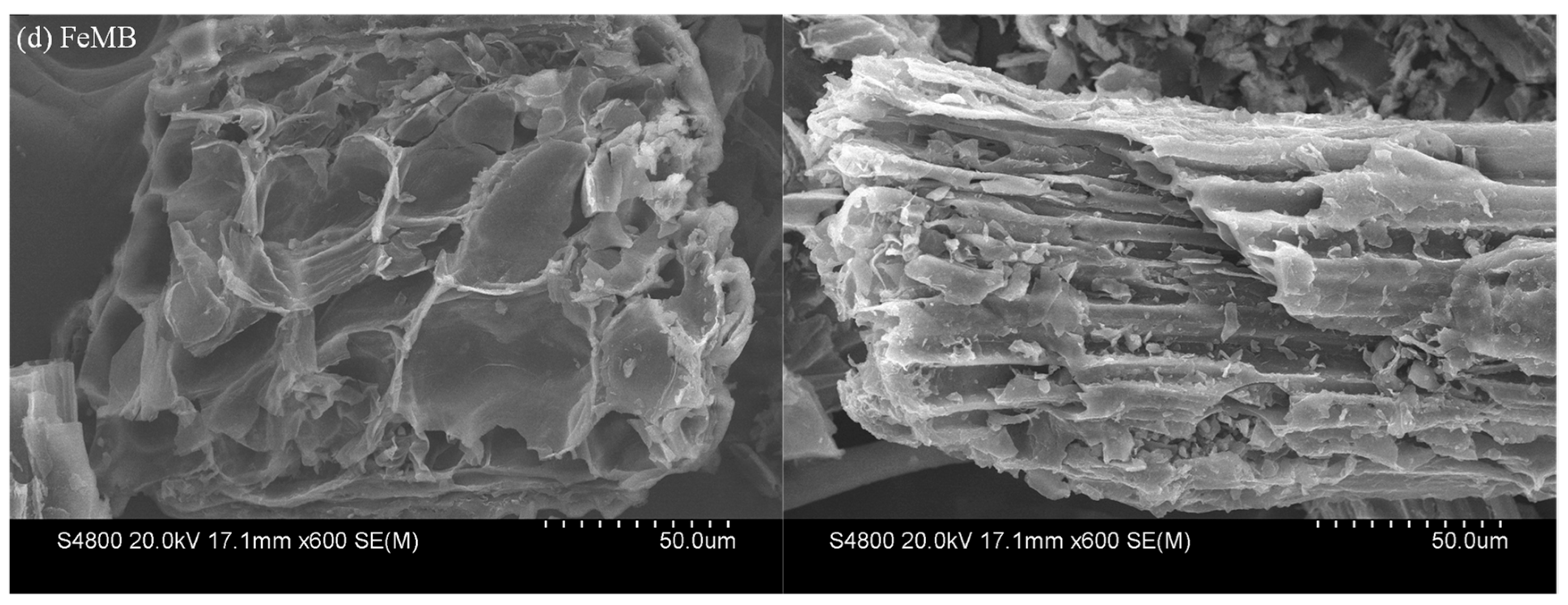 Coatings 13 01884 g006b