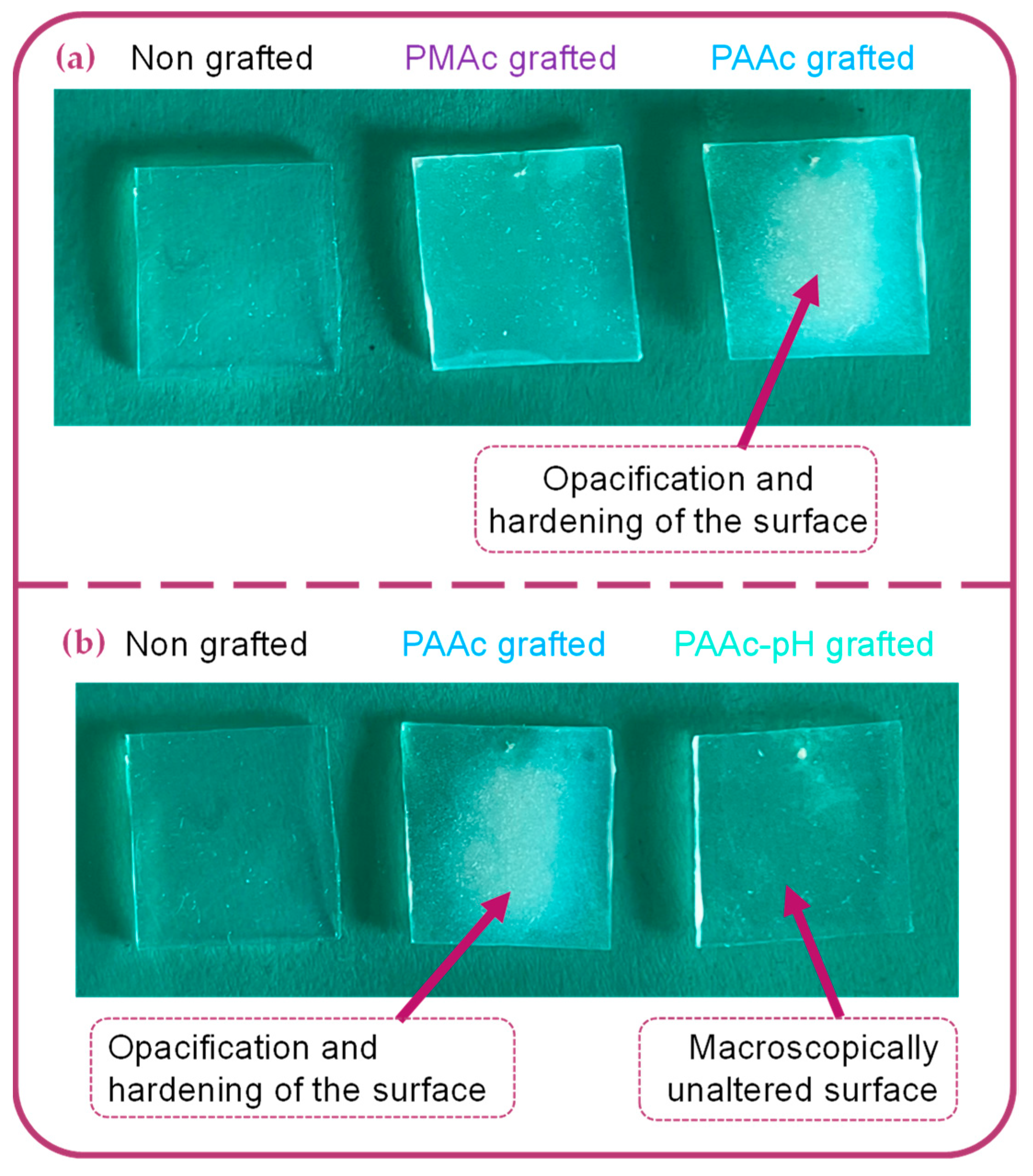 Coatings 13 01888 g005