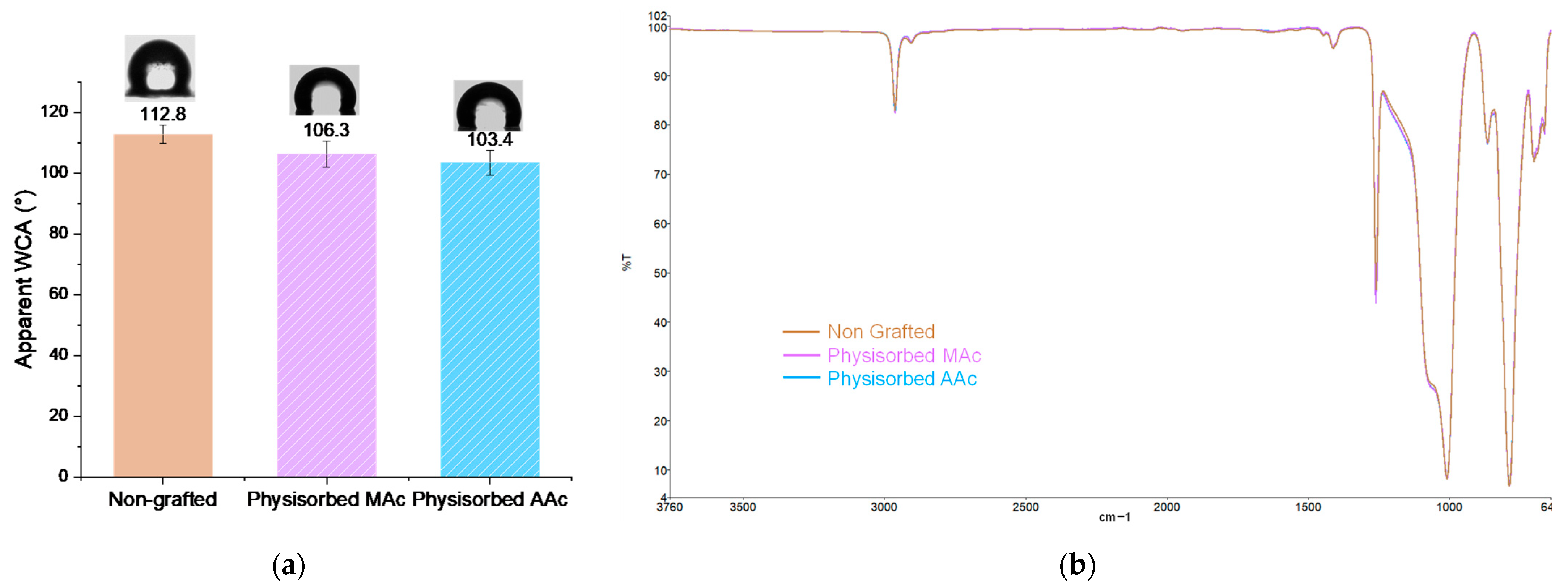 Coatings 13 01888 g006