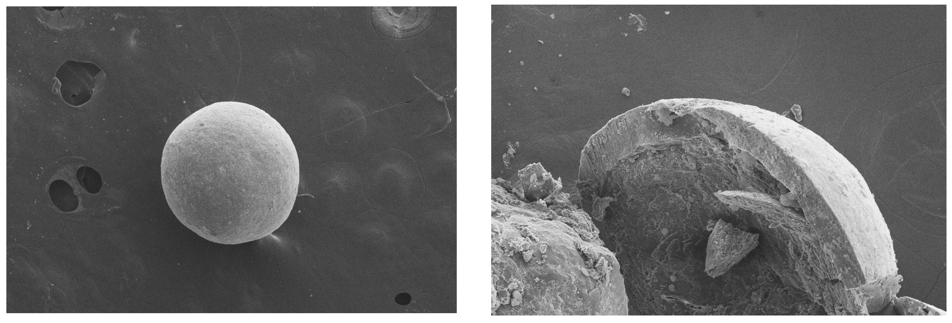 Coatings 13 01891 g002