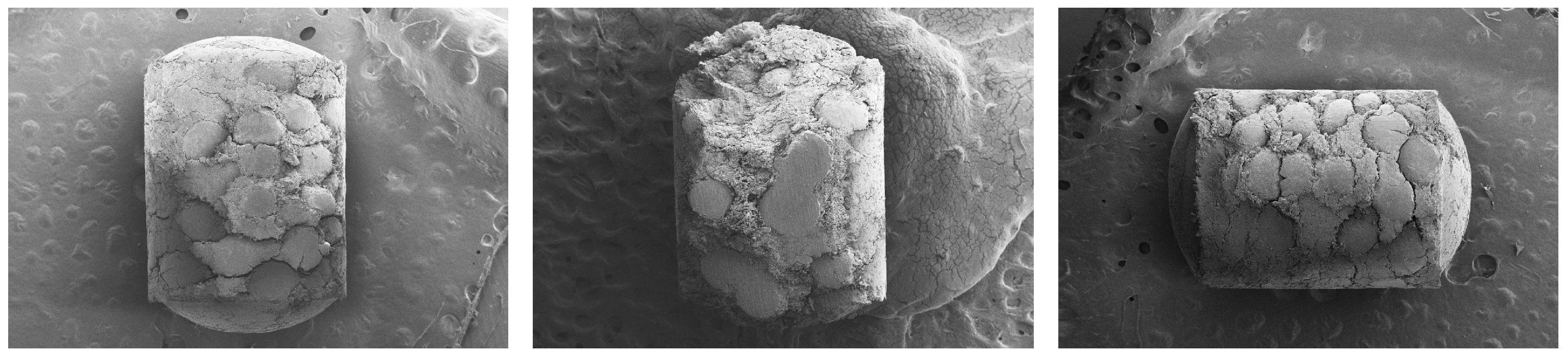 Coatings 13 01891 g003