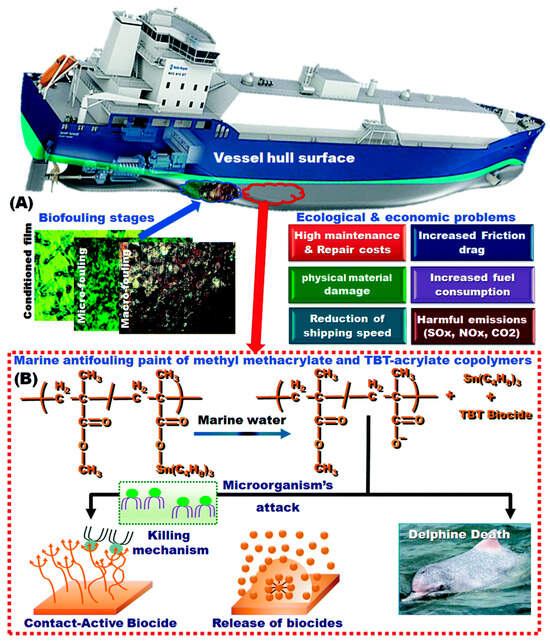 Progress in Marine Antifouling Coatings: Current Status and Prospects
