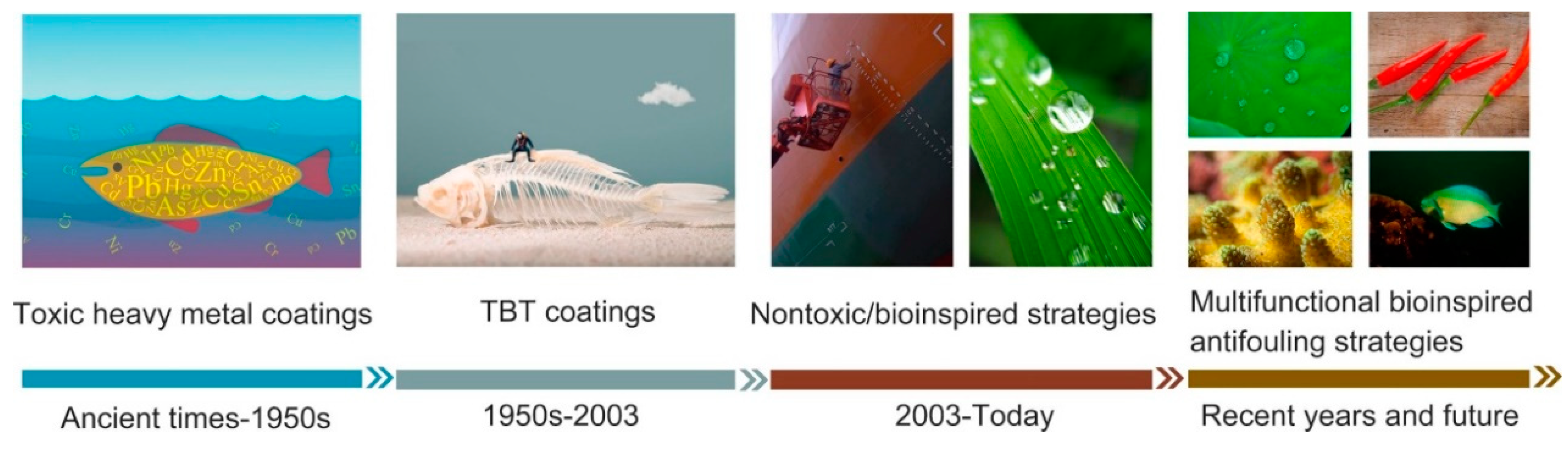 Coatings 13 01893 g003