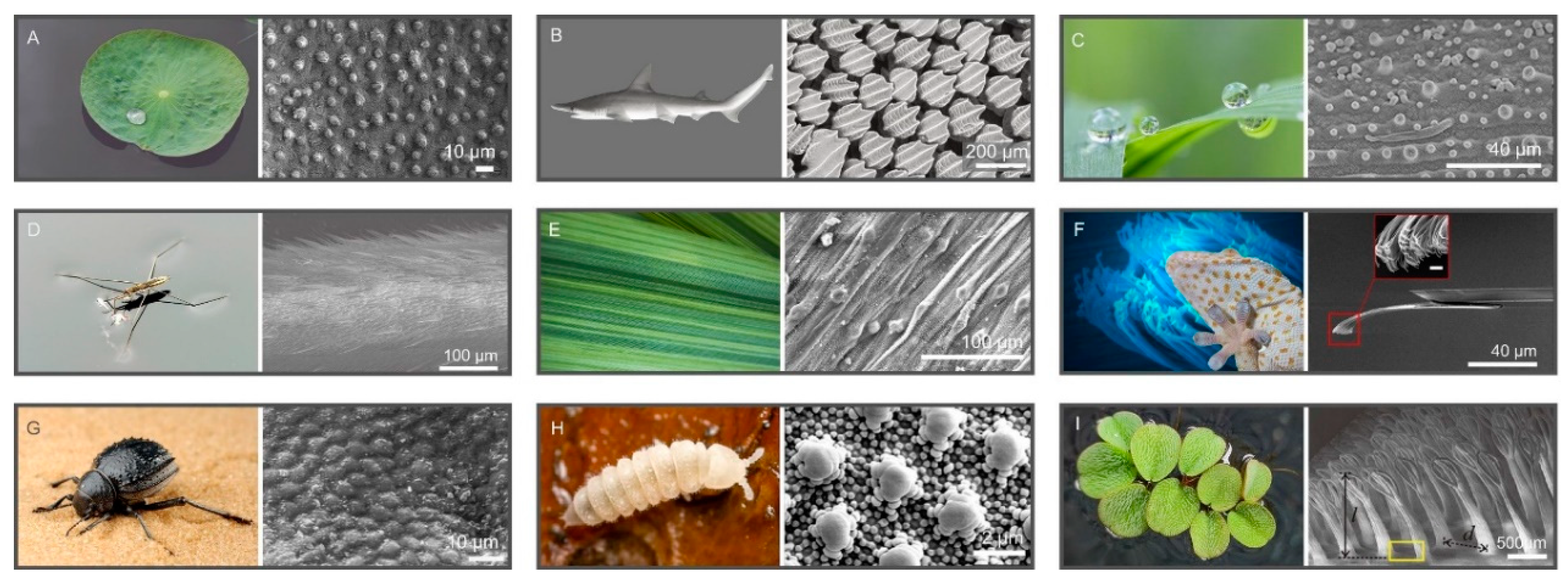 Coatings 13 01893 g005