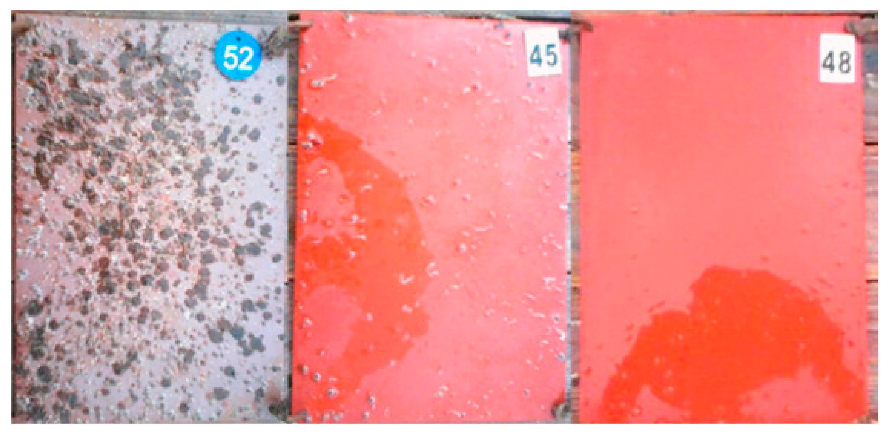 Coatings 13 01893 g006