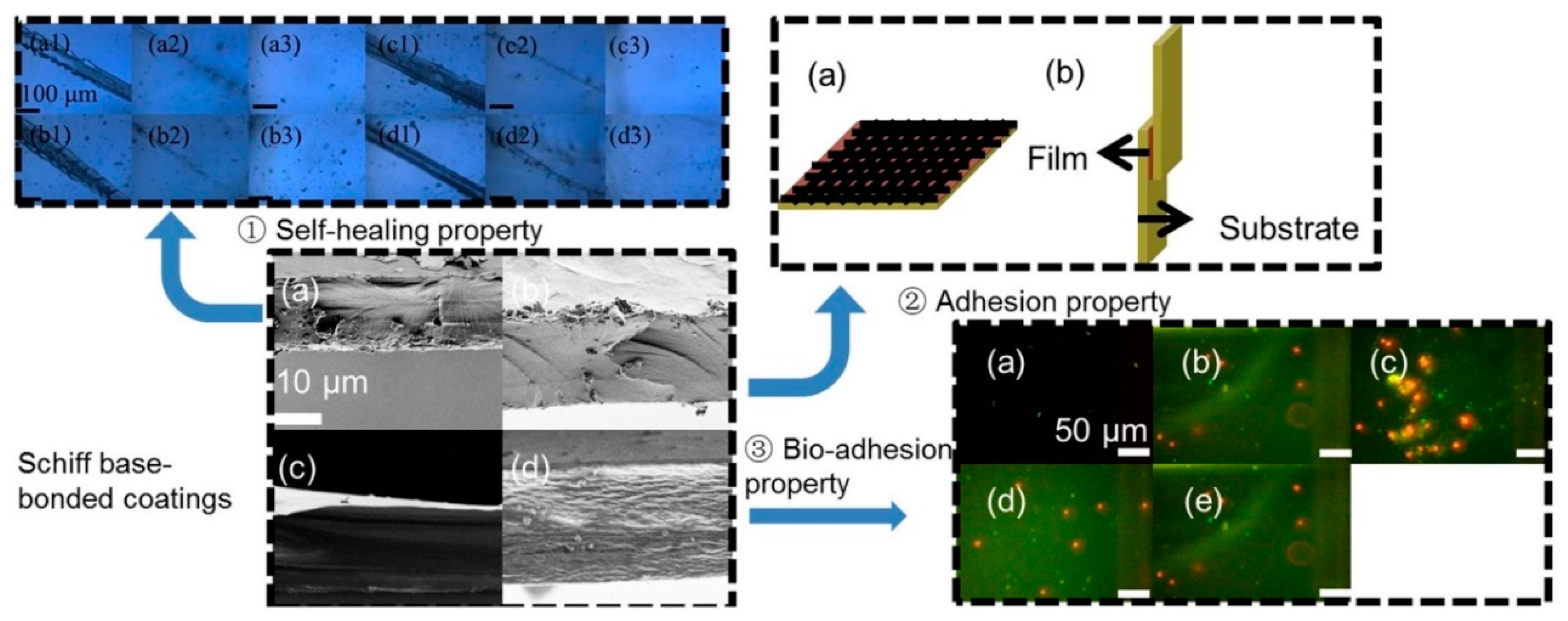 Coatings 13 01893 g007