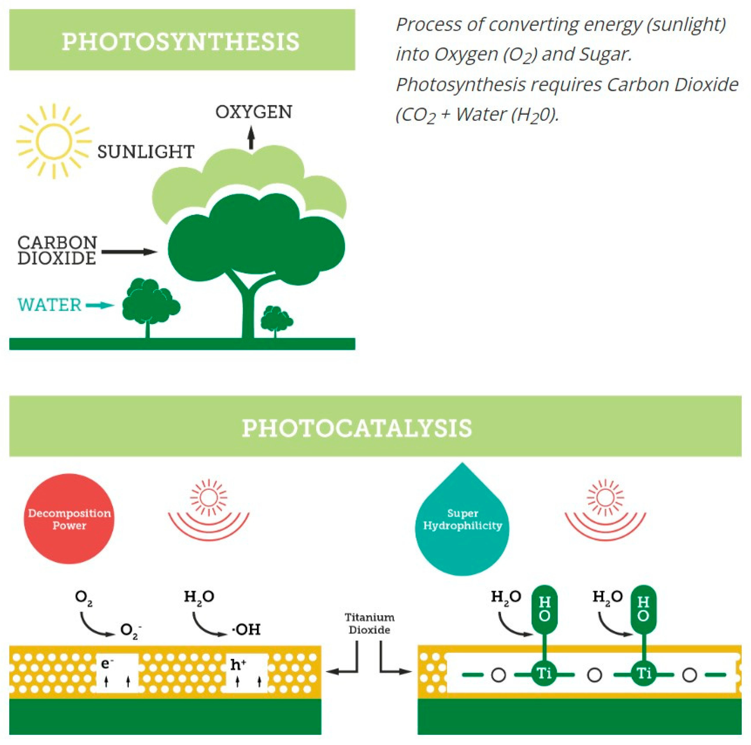 Coatings 13 01893 g010