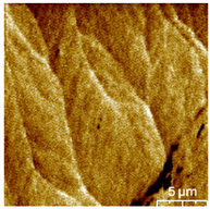 Coatings 13 01895 i001