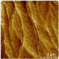 Coatings 13 01895 i005