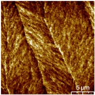 Coatings 13 01895 i007