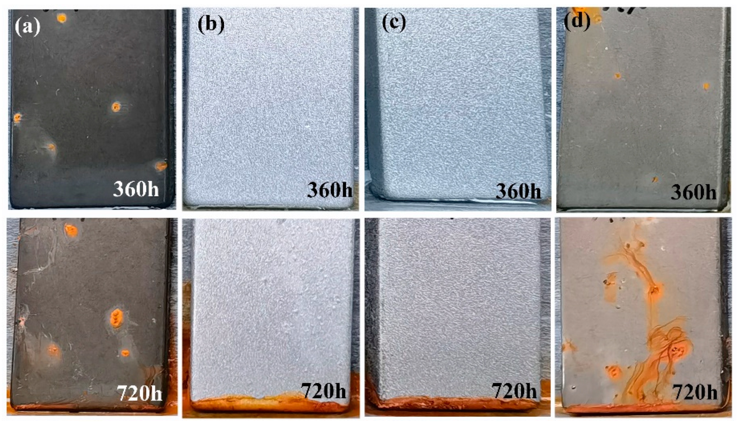 Fabrication of Epoxy Composite Coatings with Micro-Nano