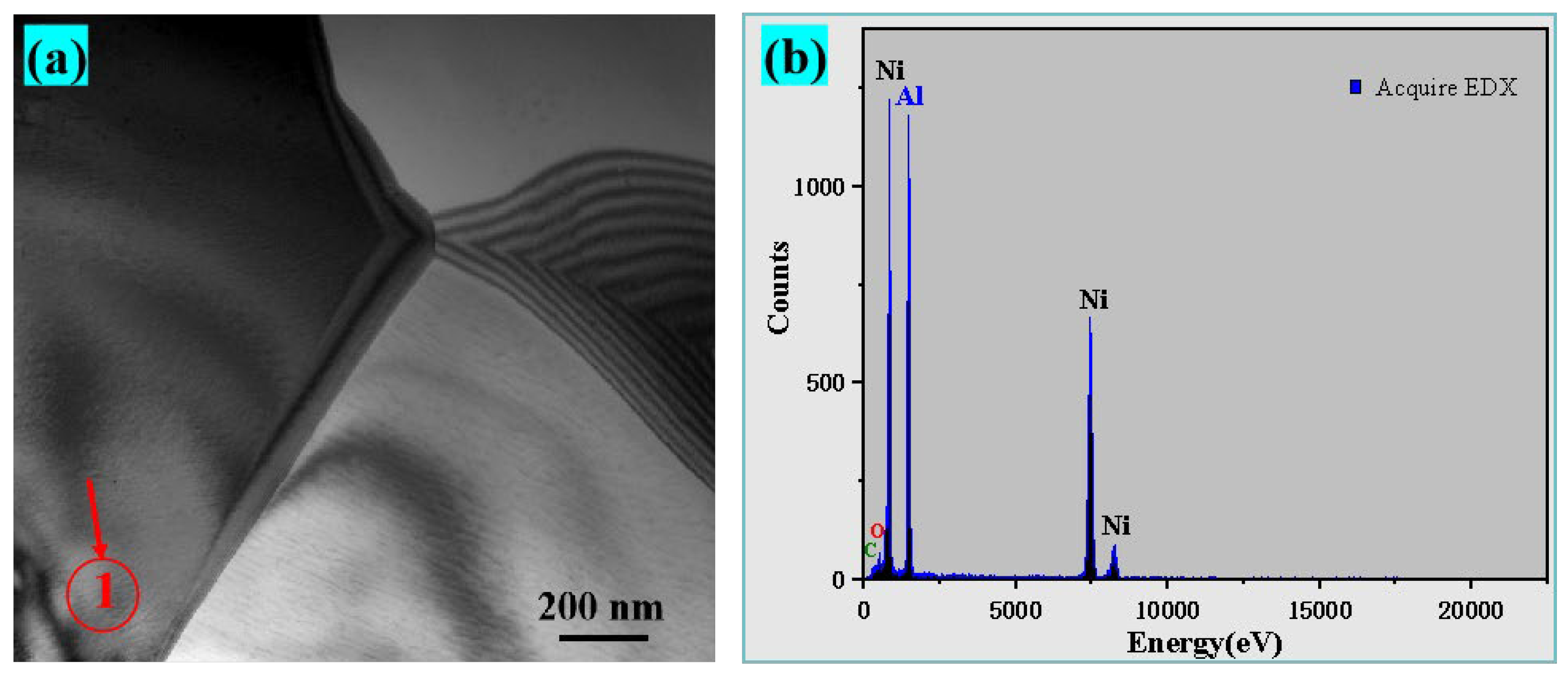 Coatings 13 01900 g003