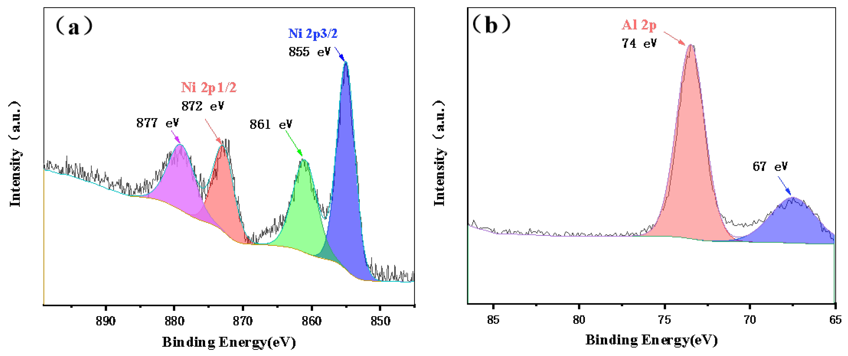 Coatings 13 01900 g008