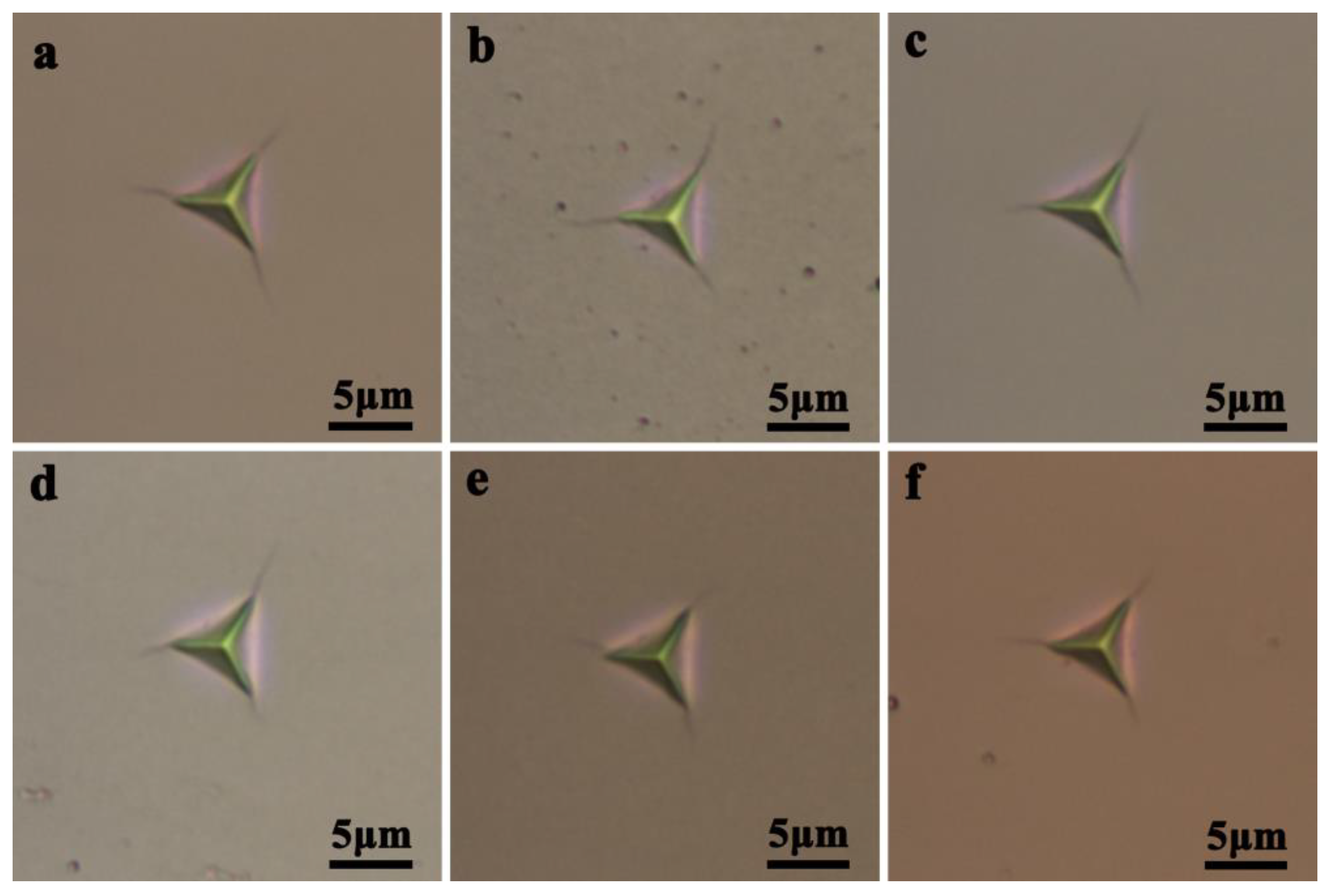 Coatings 13 01902 g009