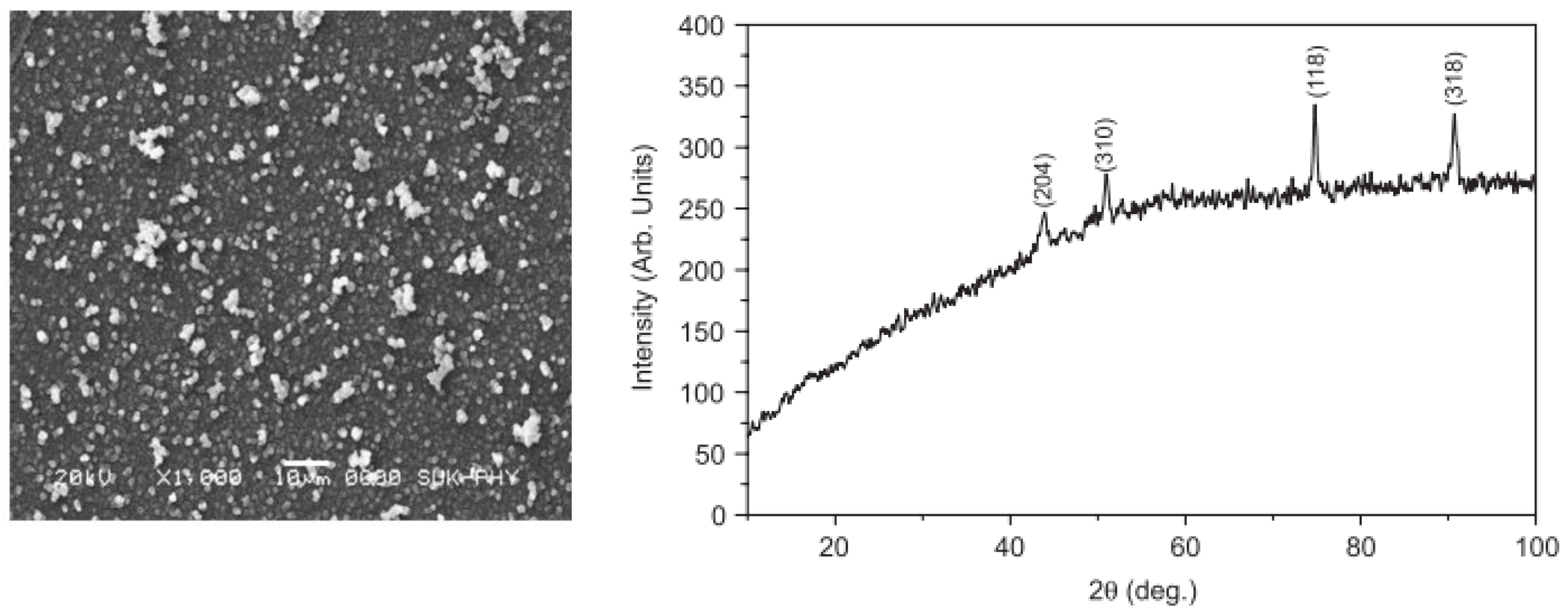 Coatings 13 01905 g005