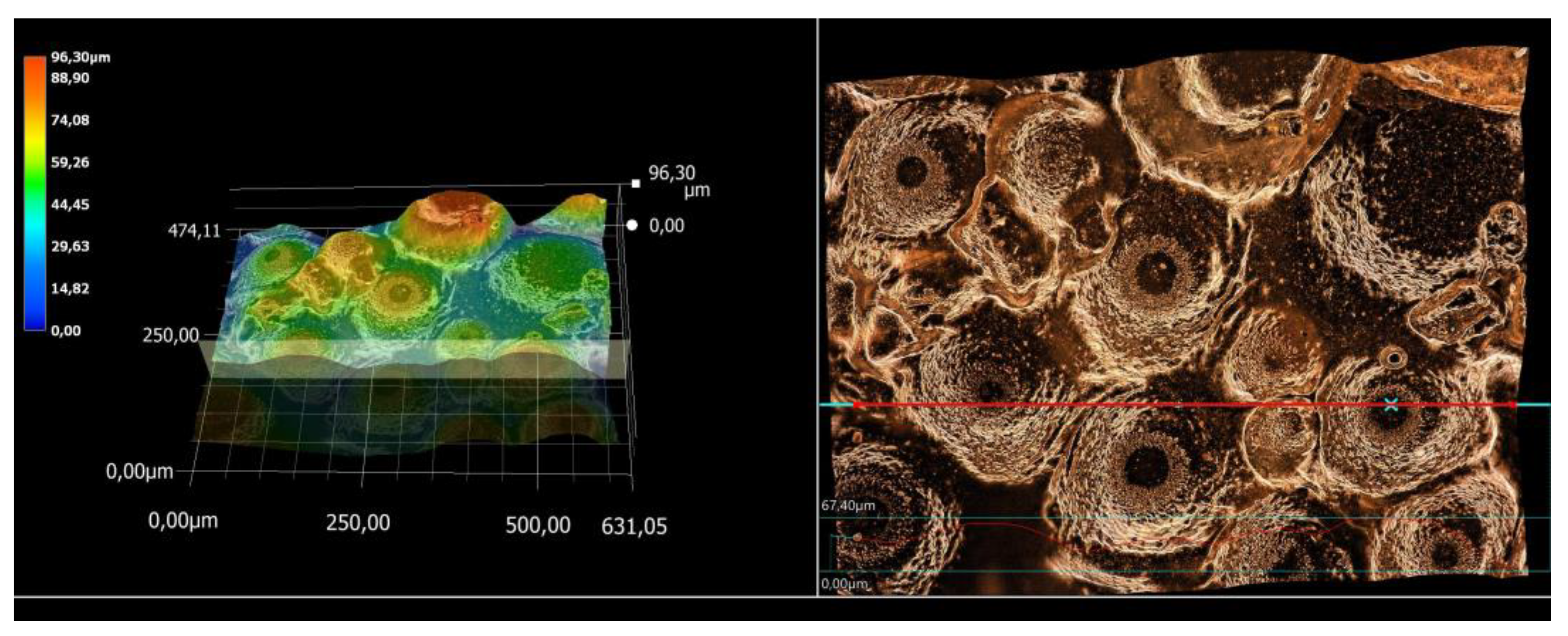 Coatings 13 01907 g013