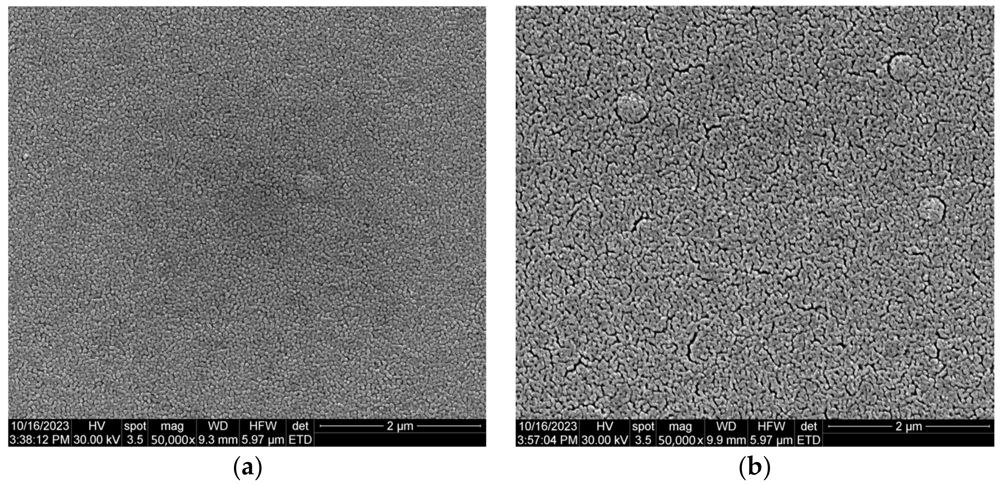 Coatings 13 01908 g005