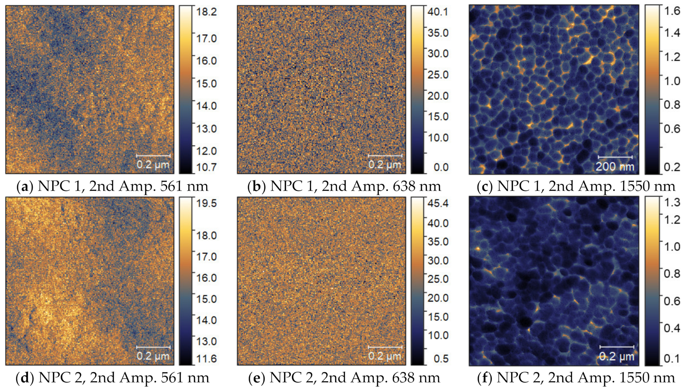 Coatings 13 01908 g017