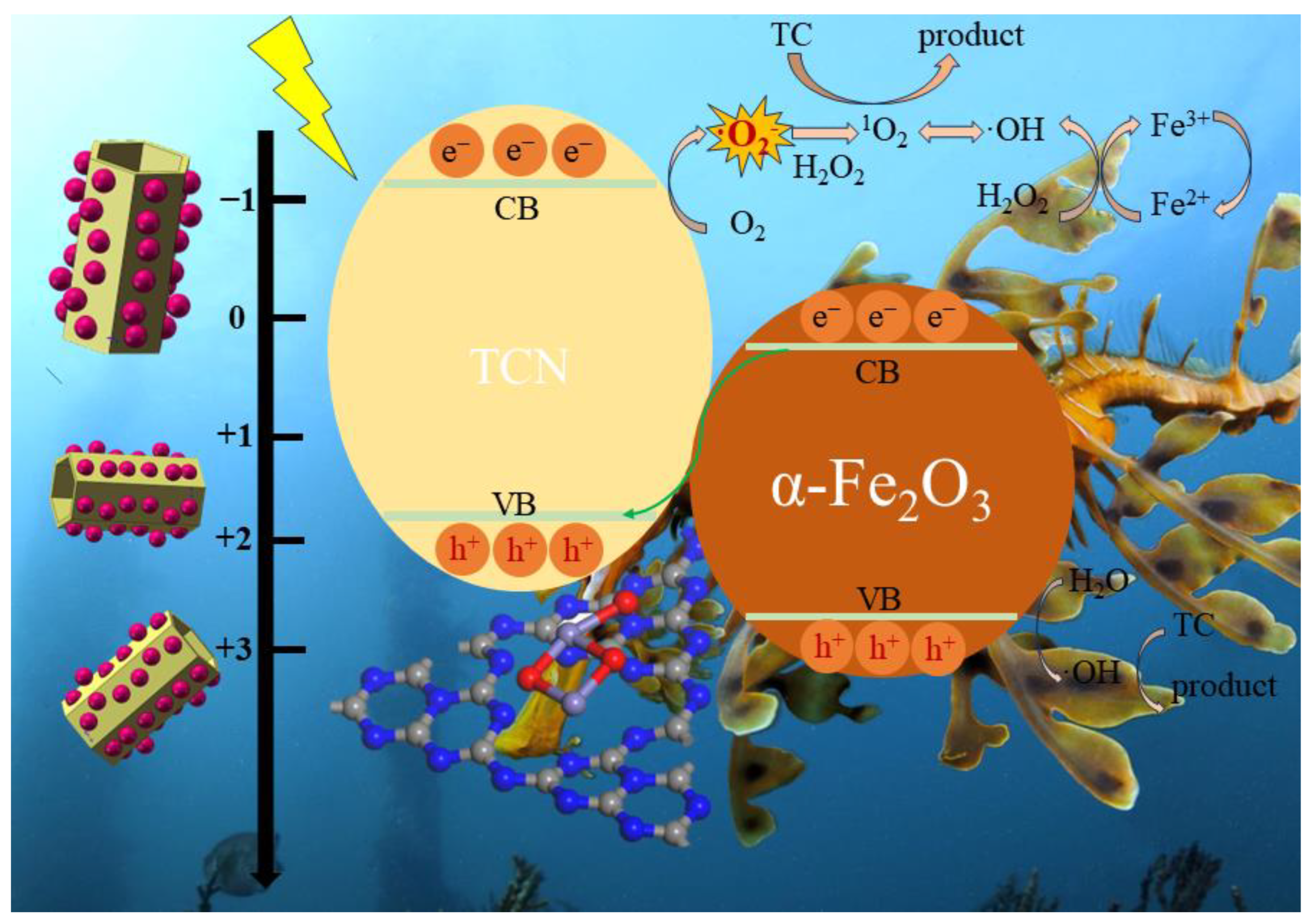 Coatings 13 01909 g007