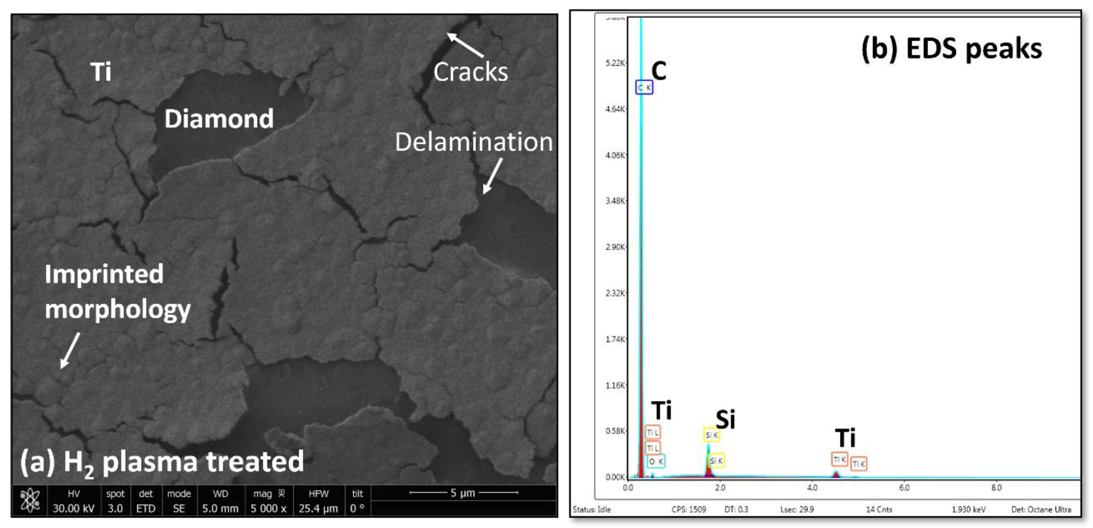 Coatings 13 01914 g005