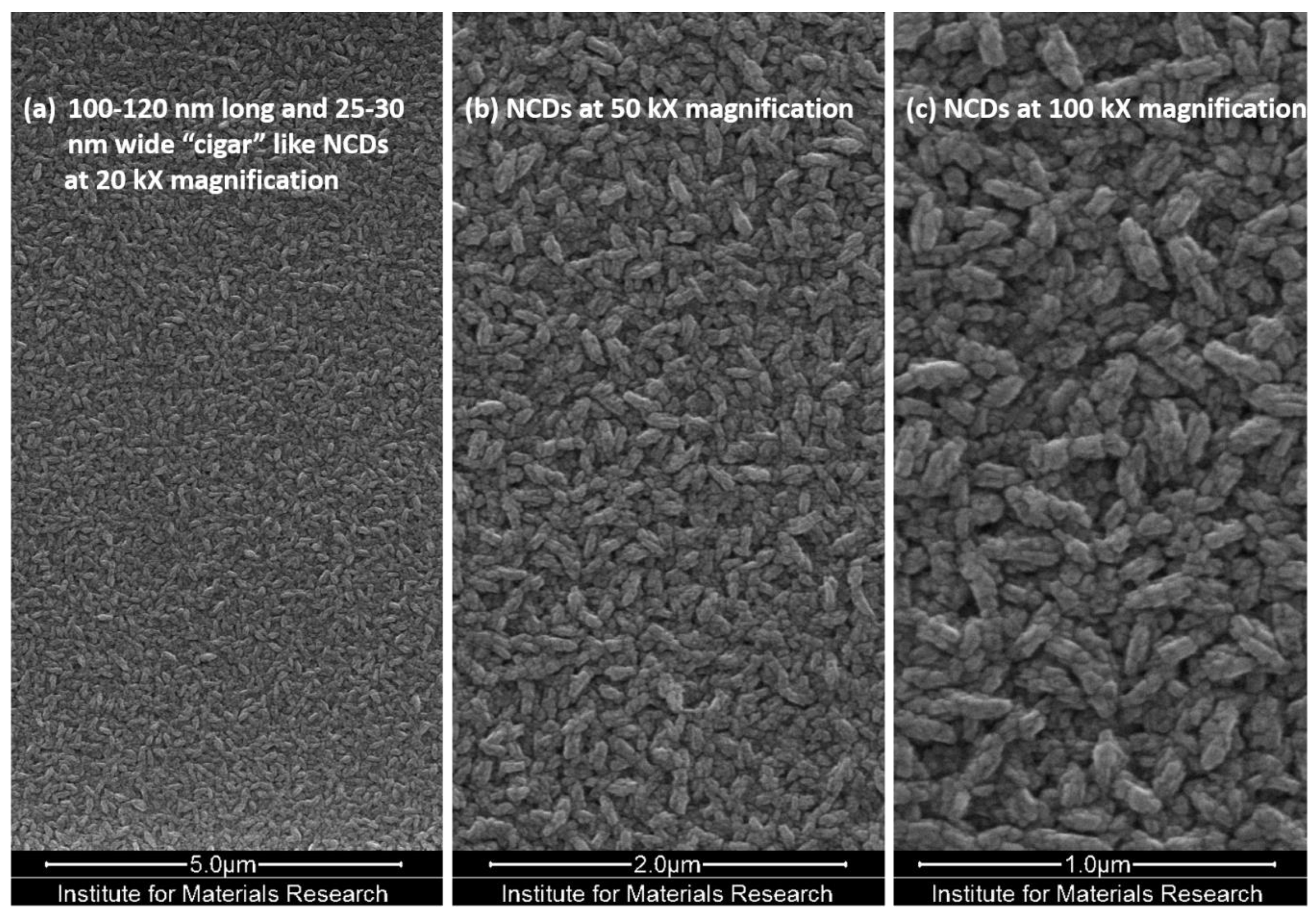 Coatings 13 01914 g006