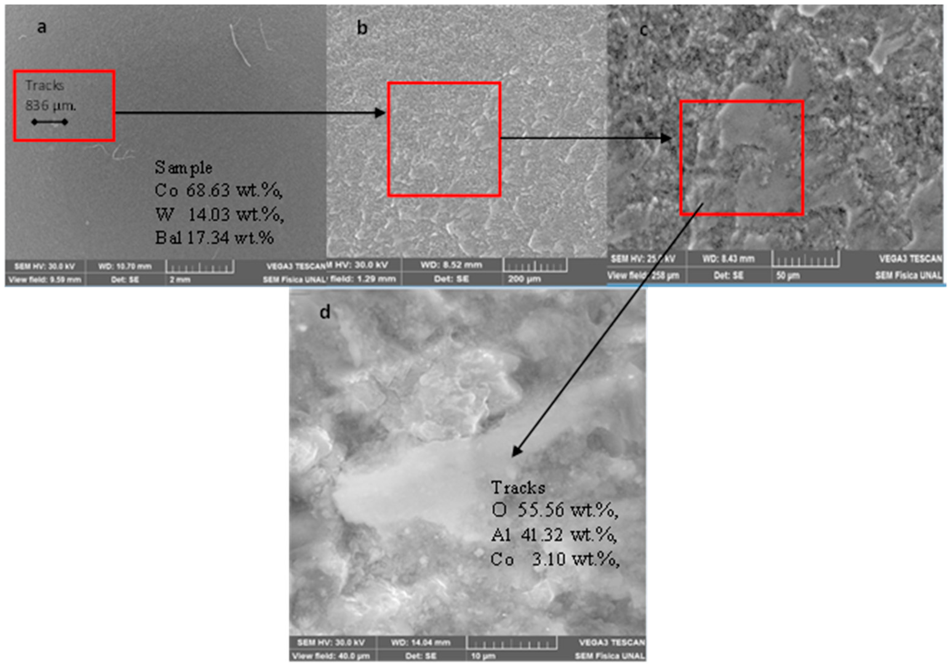 Coatings 13 01915 g004