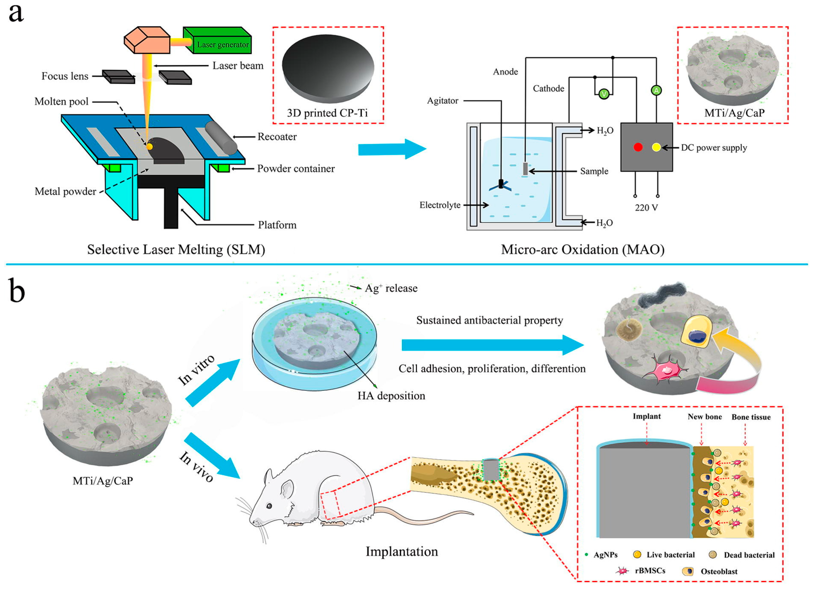 Coatings 13 01917 g005