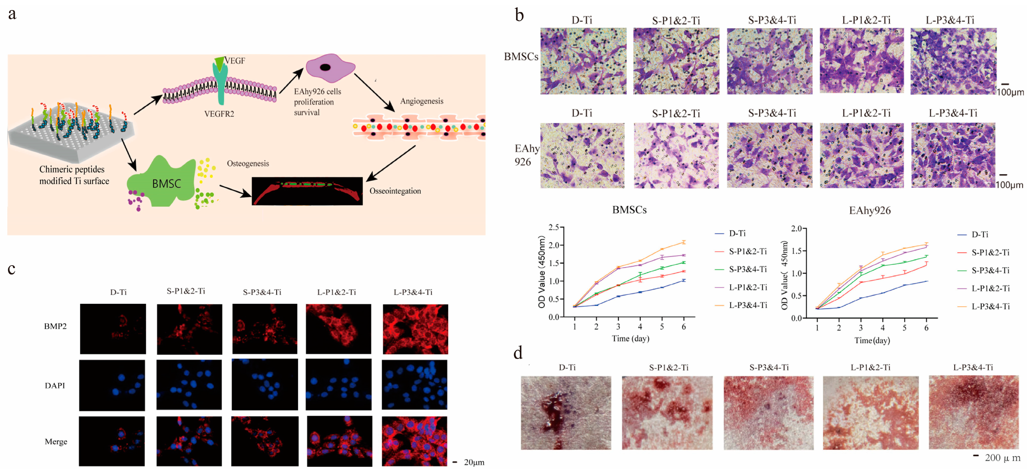 Coatings 13 01917 g008