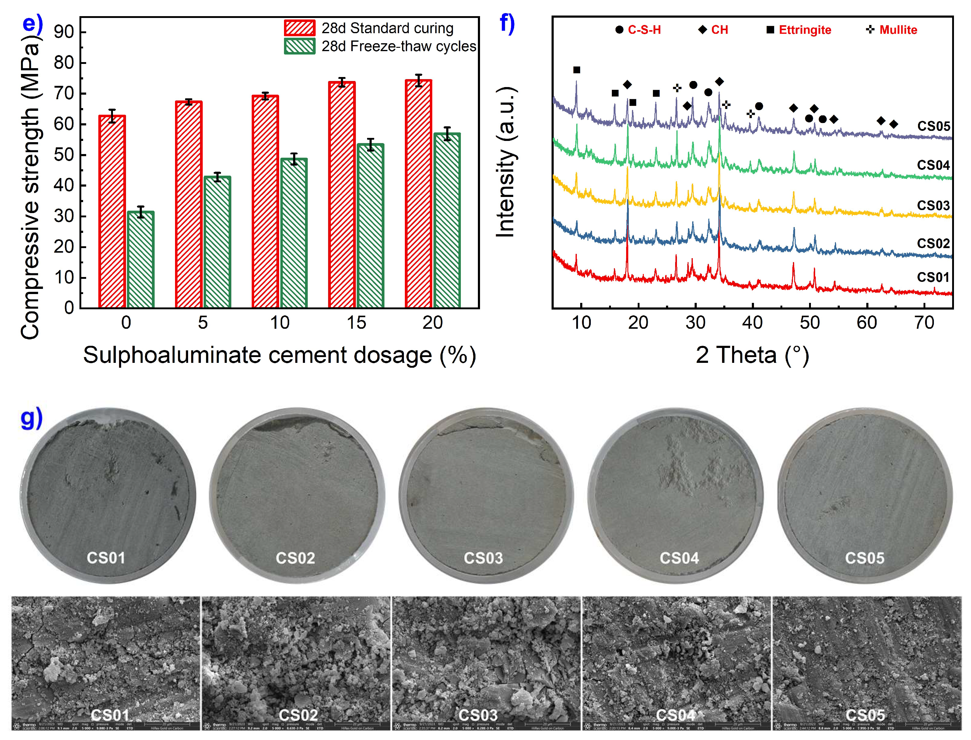Coatings 13 01919 g006b