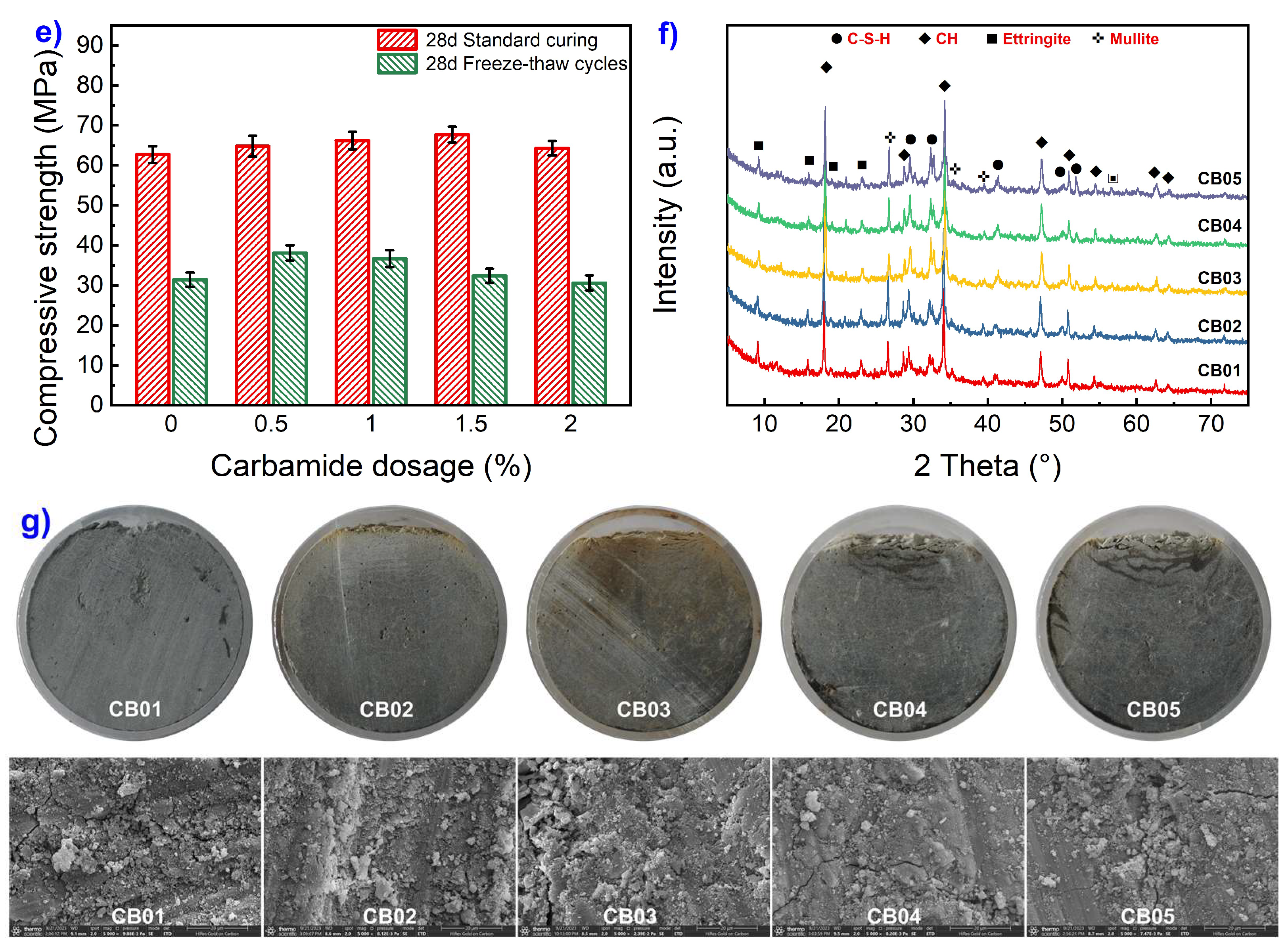 Coatings 13 01919 g008b