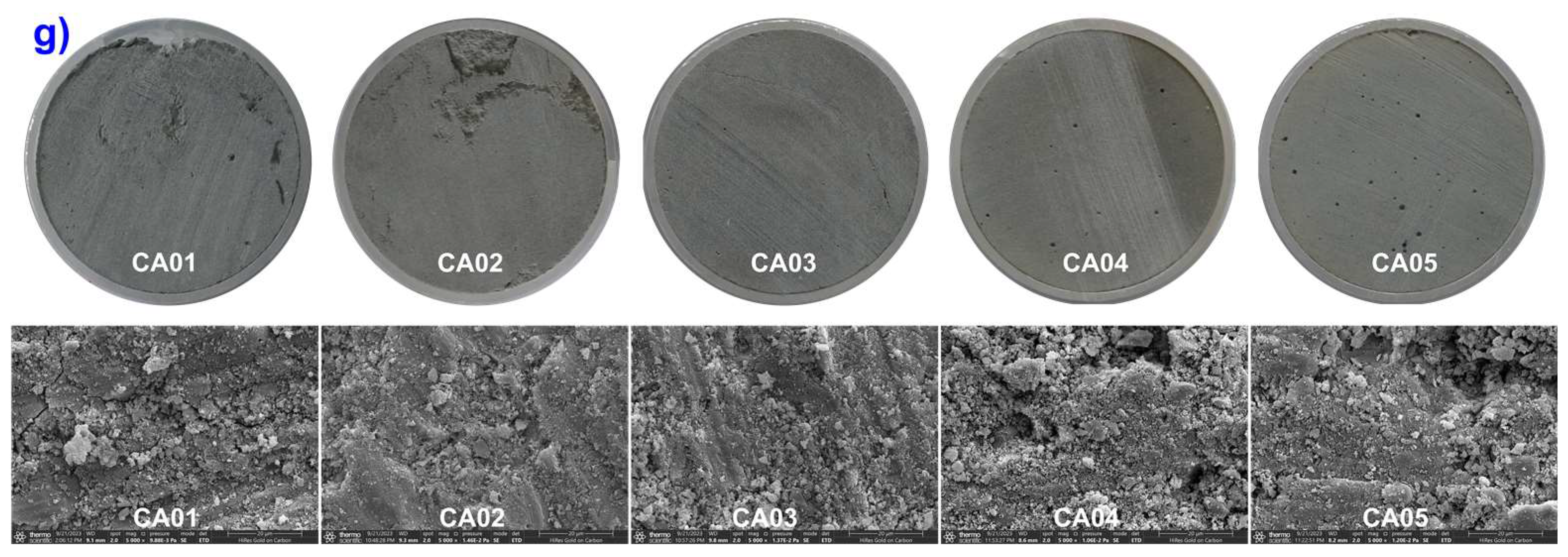 Coatings 13 01919 g010b