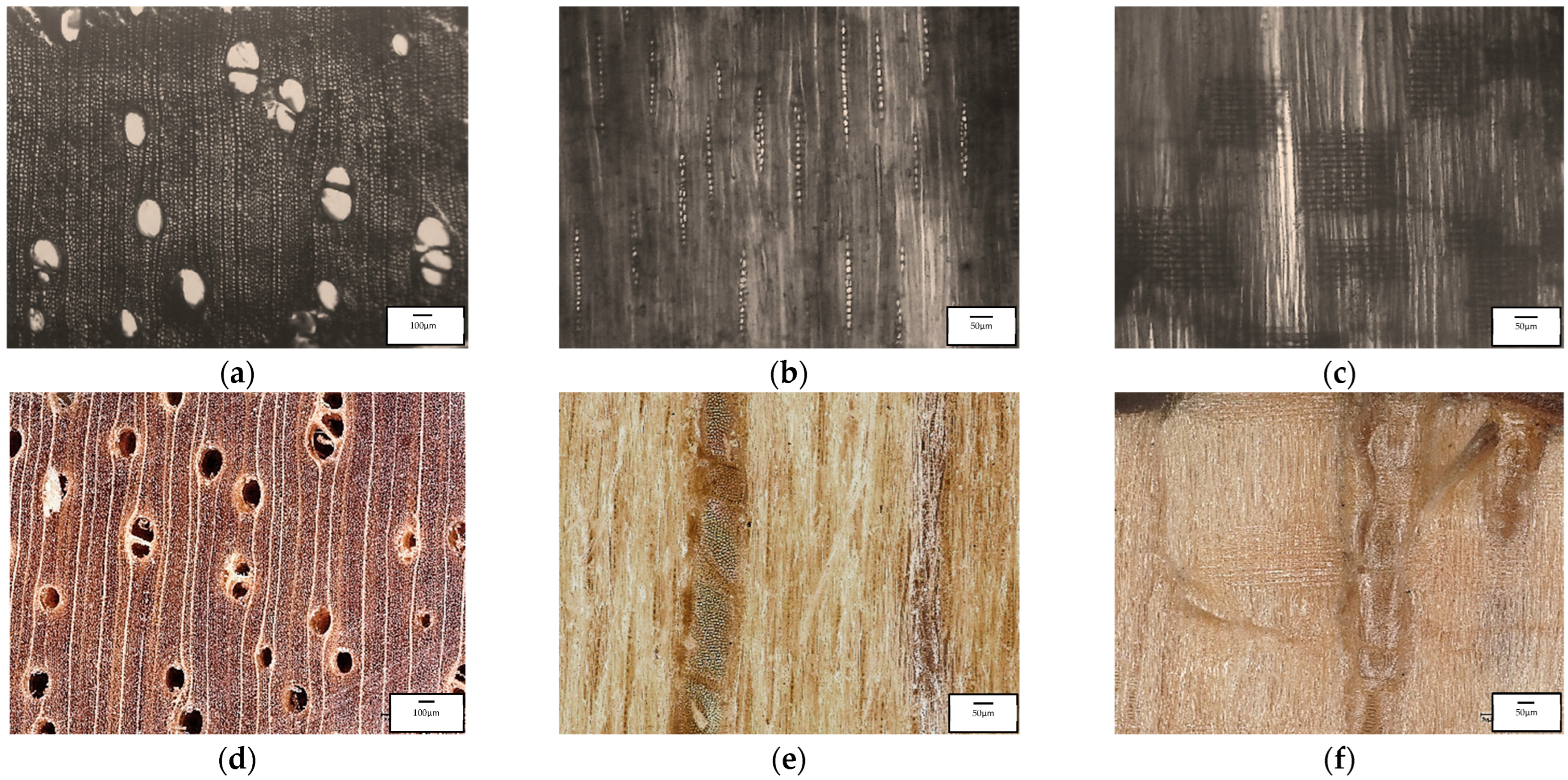Coatings 13 01924 g011 Coatings 13 01924 g011