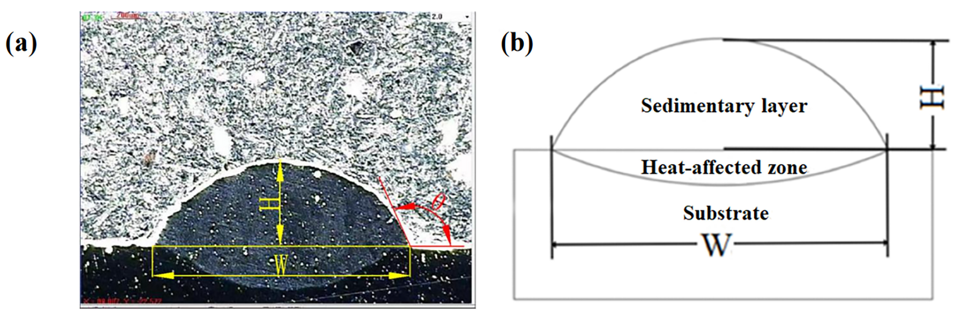 Coatings 13 01926 g002