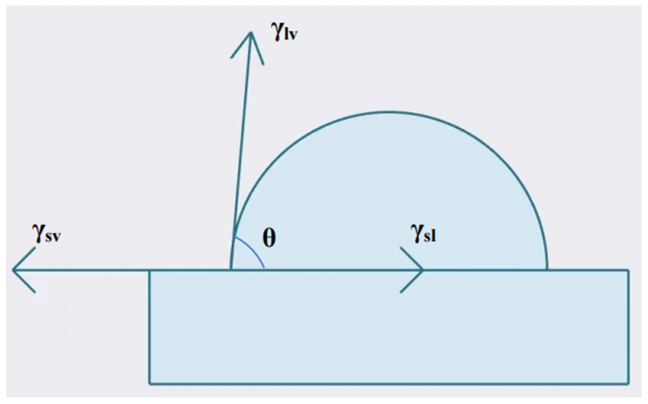 Coatings 13 01926 g021