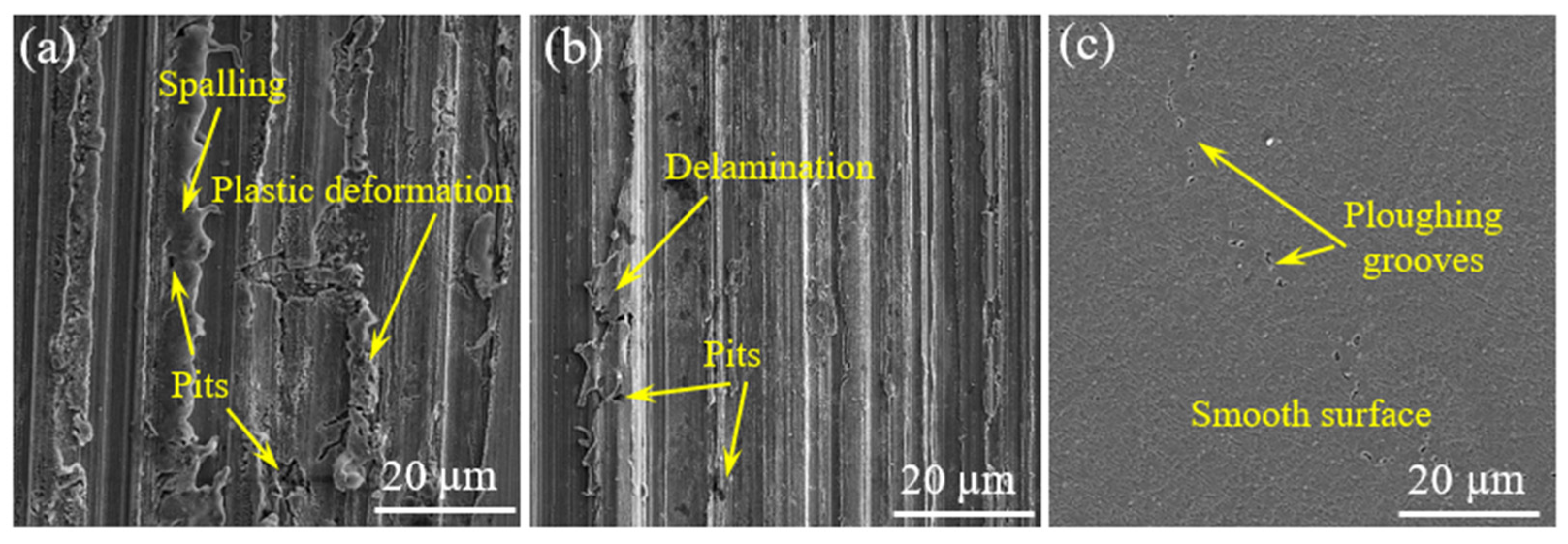 Coatings 13 01928 g009