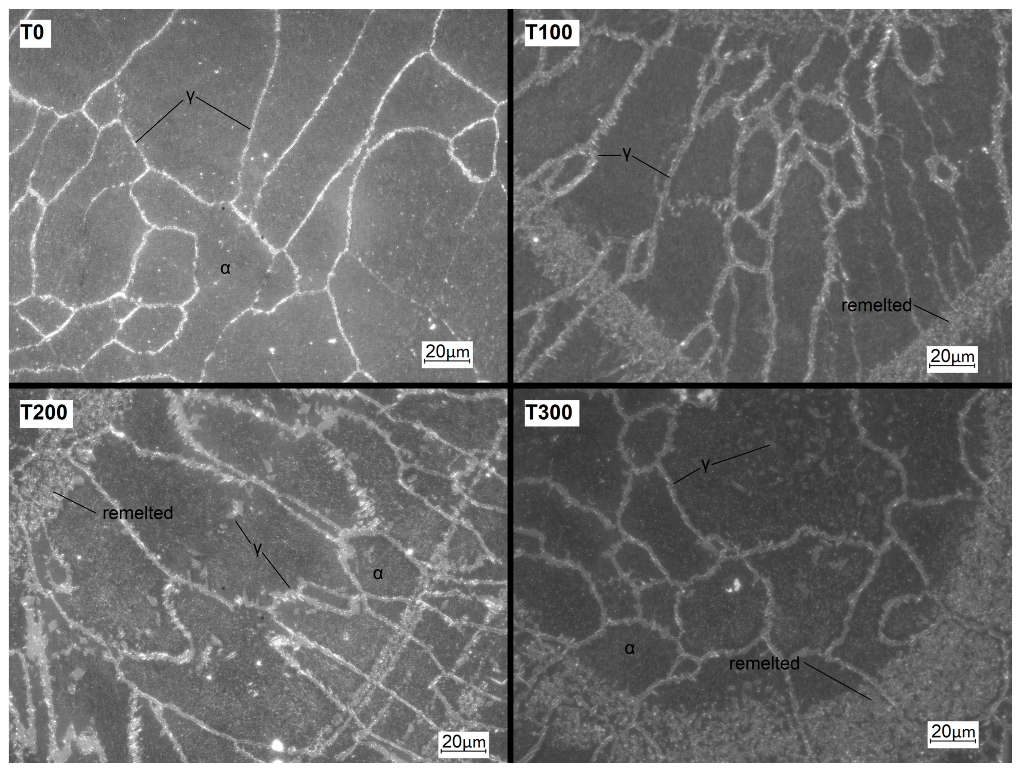 Coatings 13 01930 g003