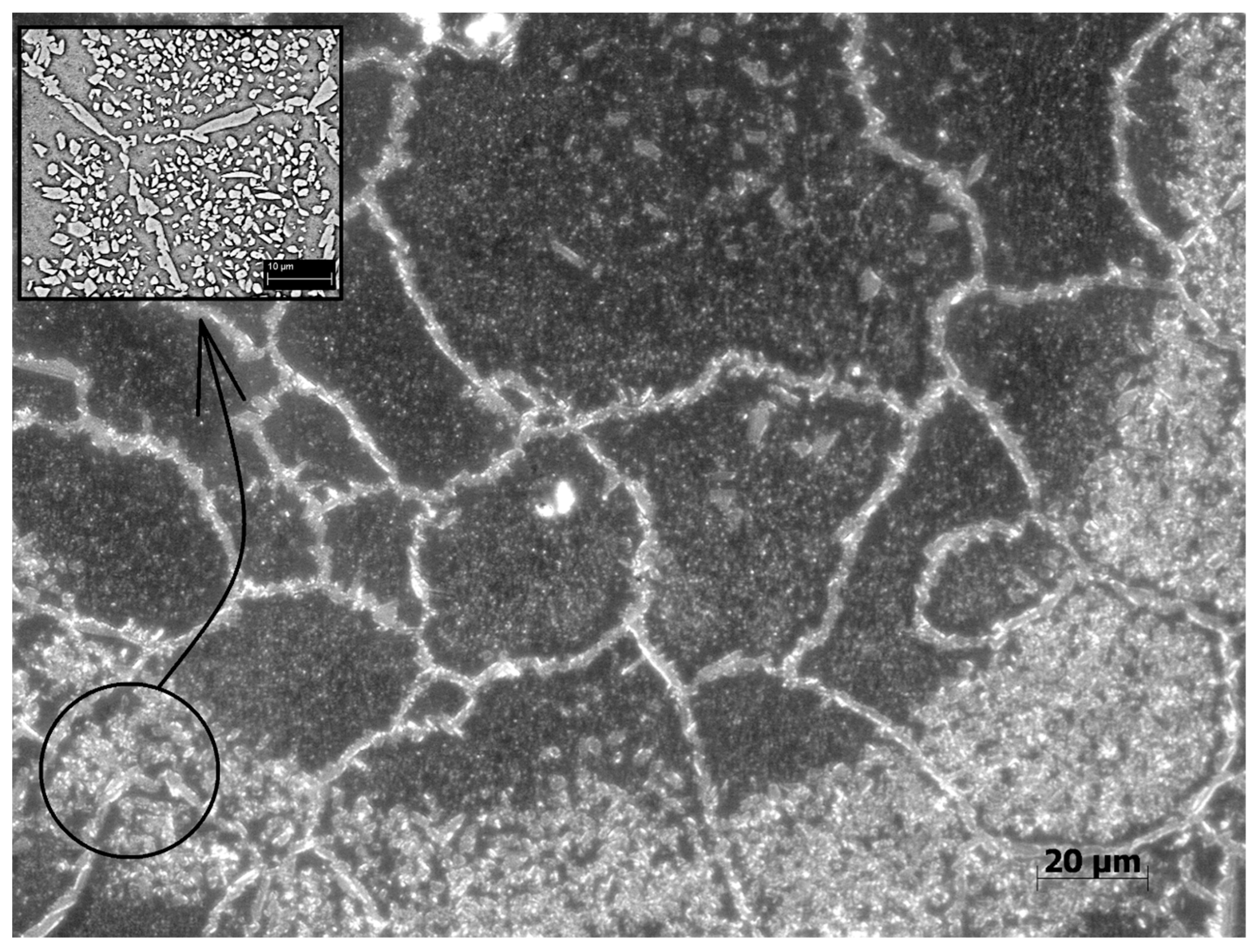 Coatings 13 01930 g004