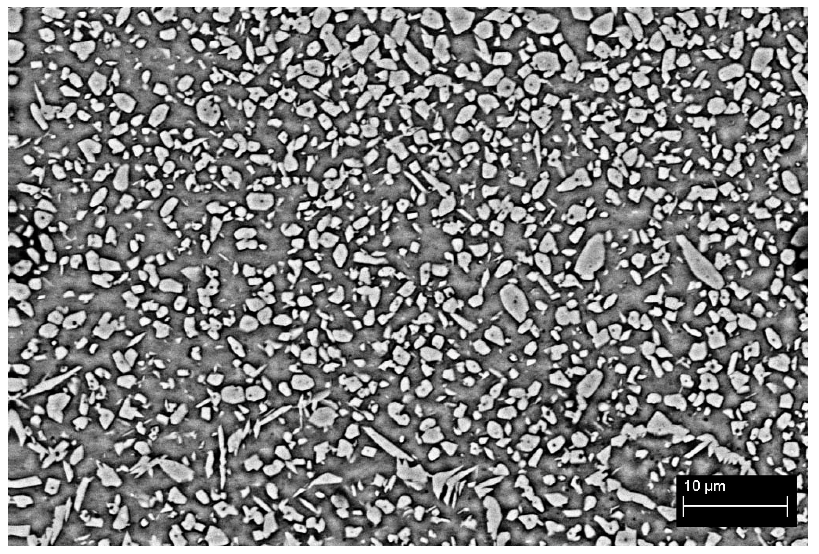 Coatings 13 01930 g005
