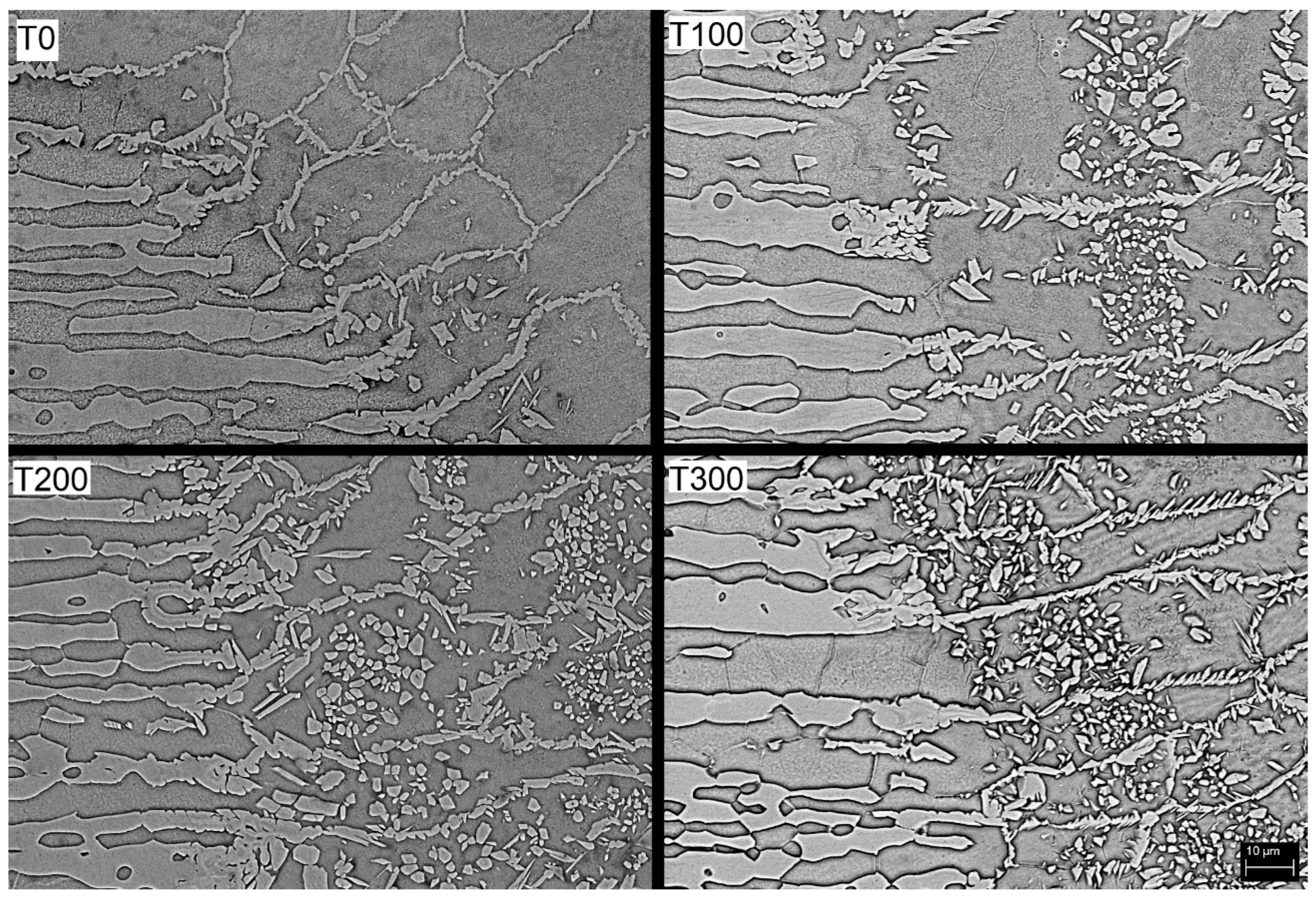 Coatings 13 01930 g006