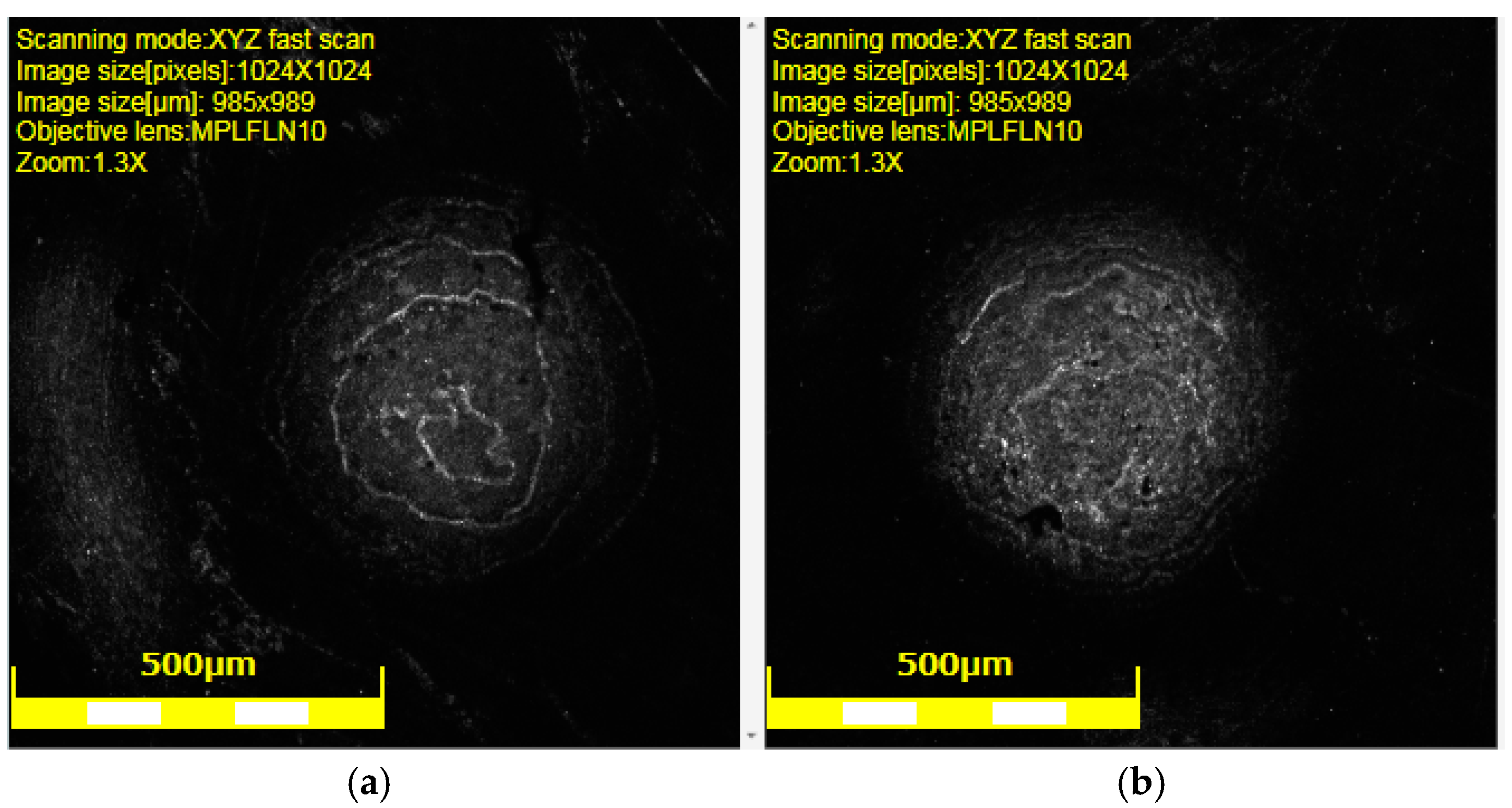 Coatings 13 01933 g004