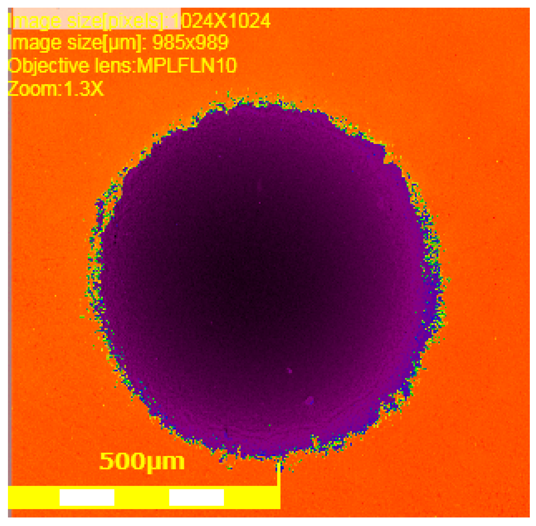 Coatings 13 01933 g006
