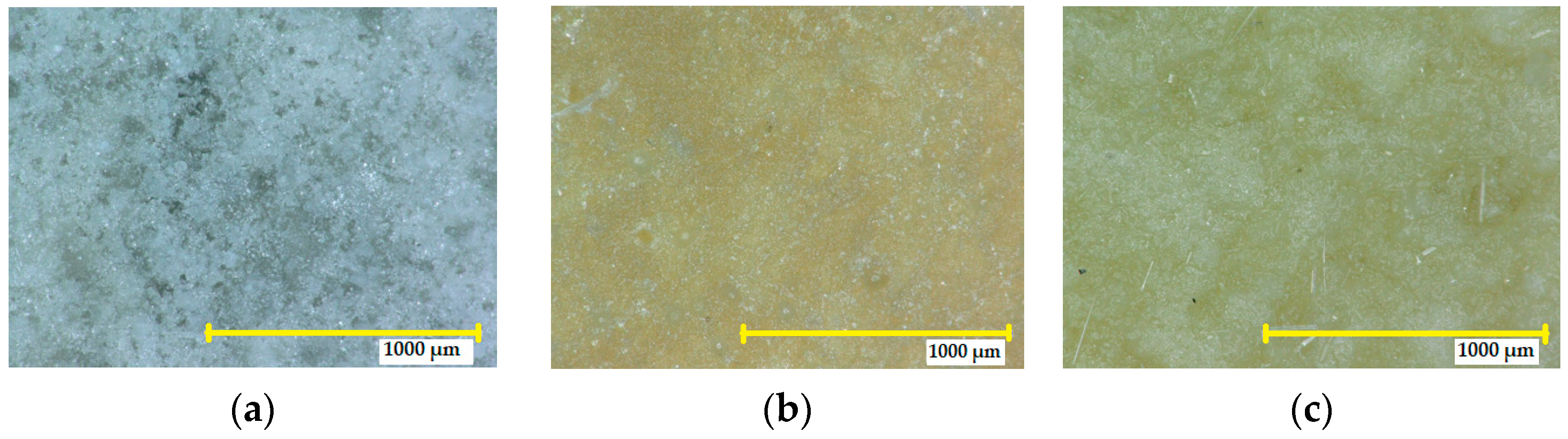 Coatings 13 01934 g009