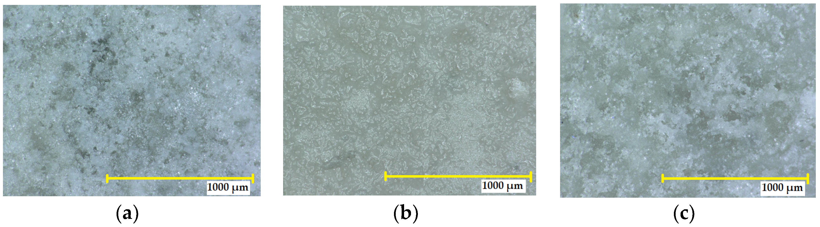 Coatings 13 01934 g011