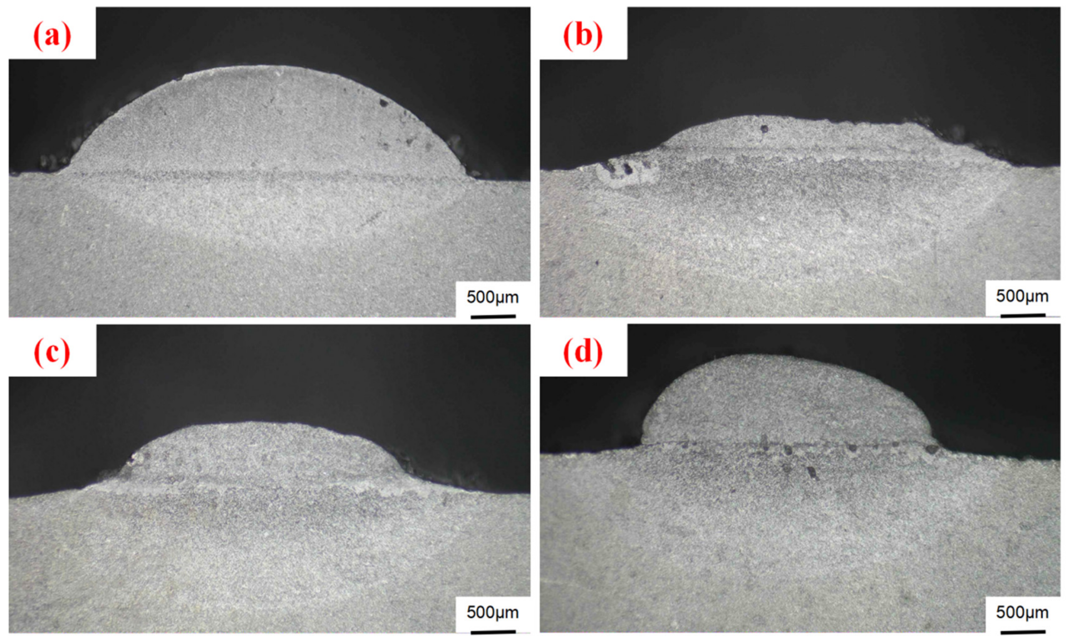 Coatings 13 01935 g004