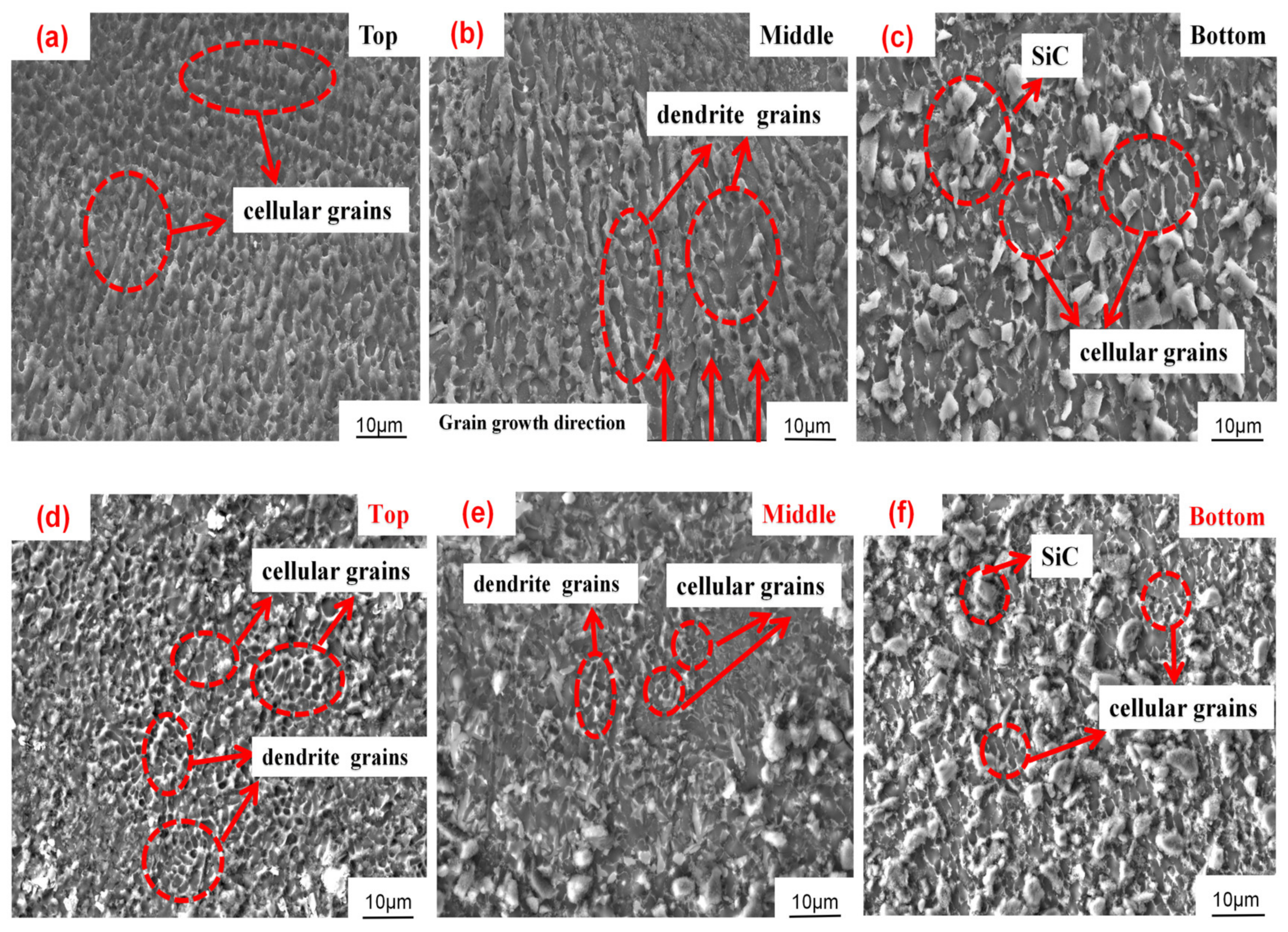 Coatings 13 01935 g008a