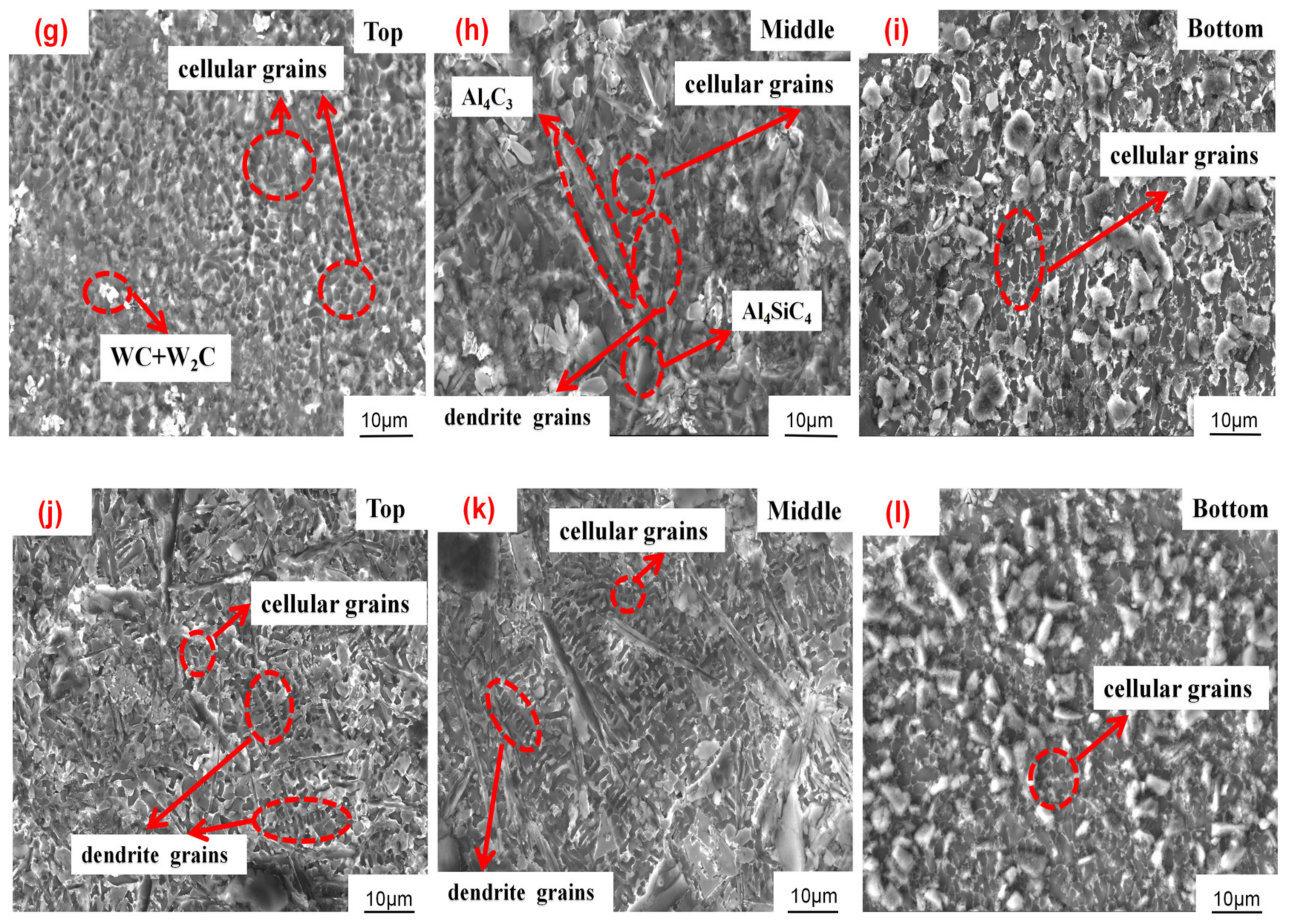 Coatings 13 01935 g008b