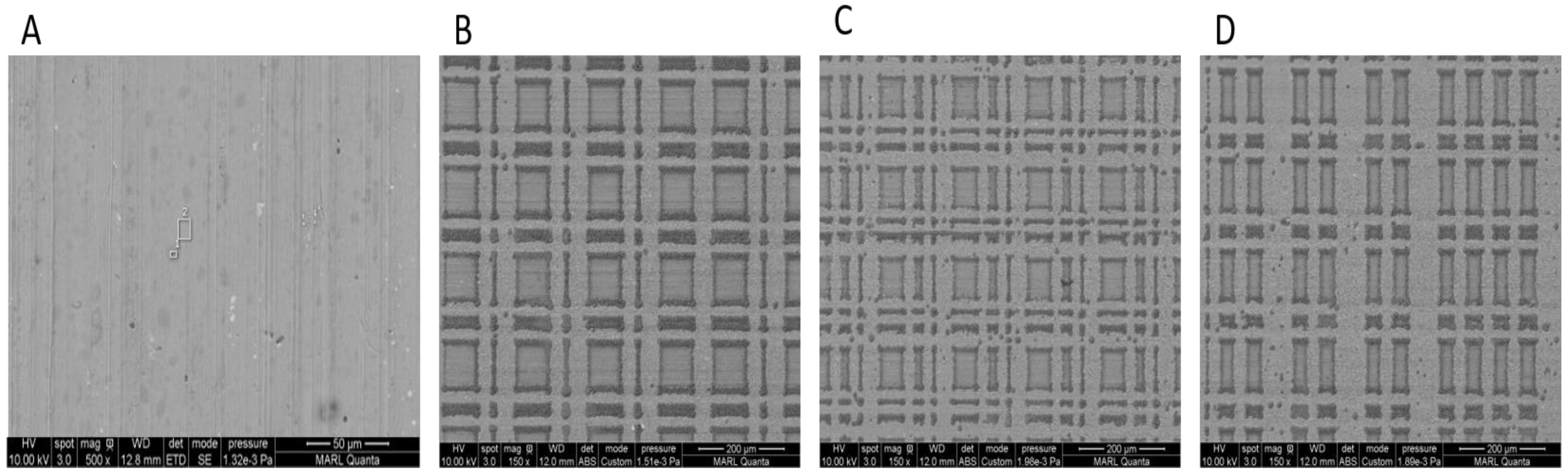 Coatings 13 01939 g005