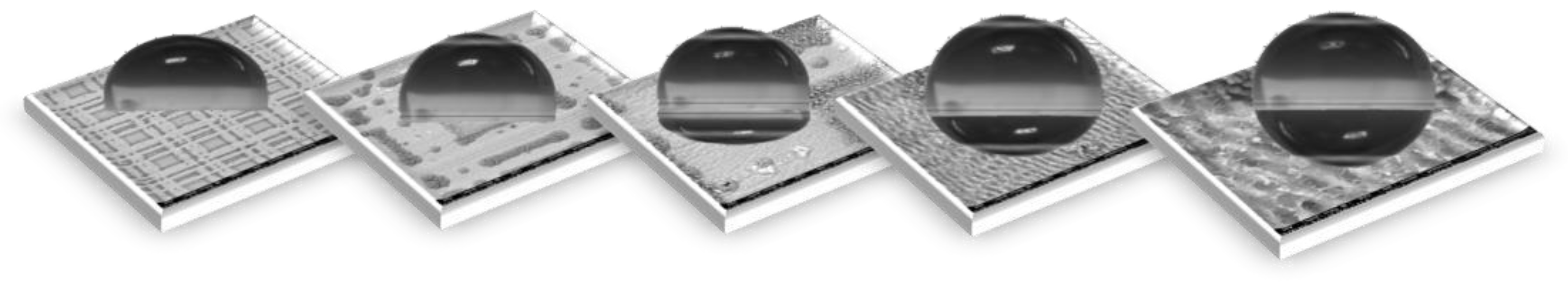 Coatings 13 01939 g007